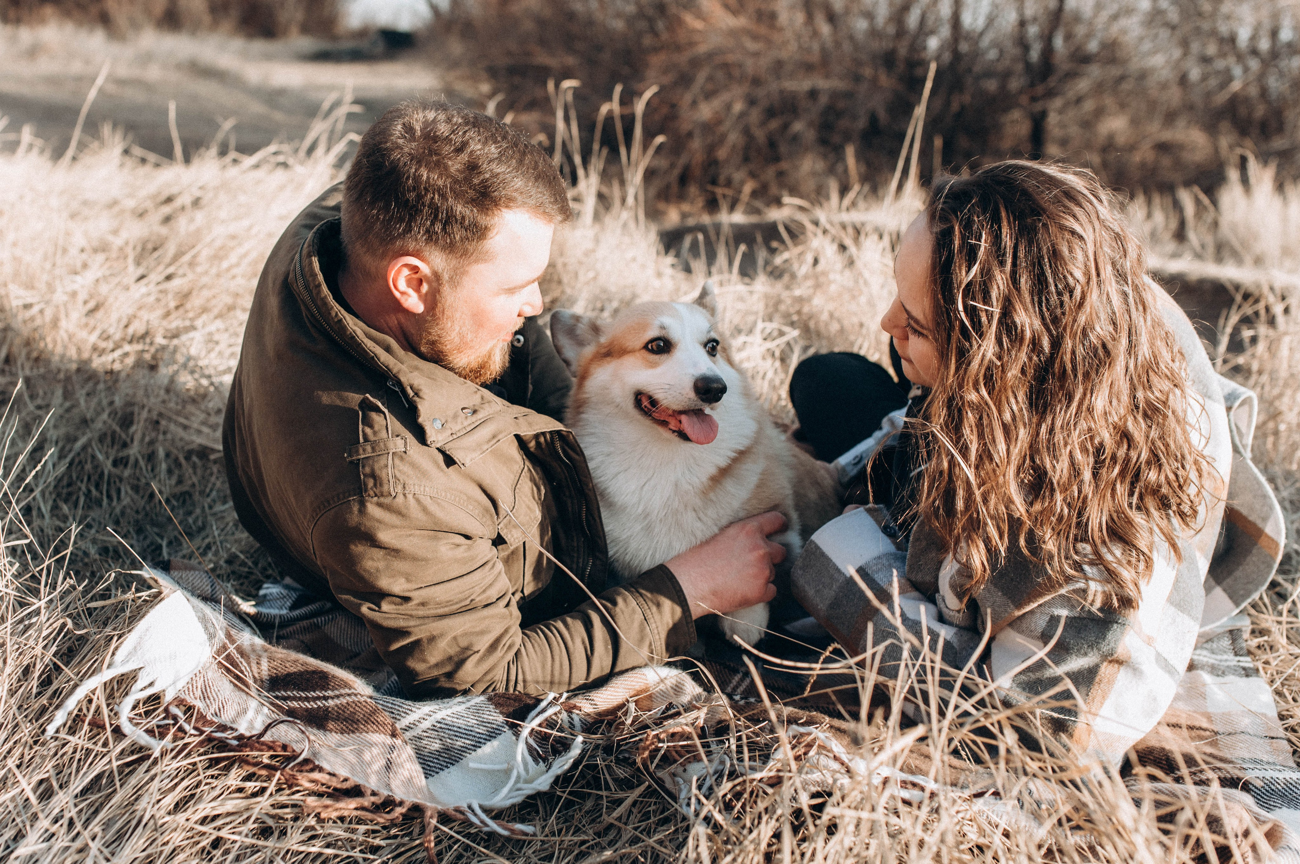 Лёша, Аня и Акс. Свадебный и семейный фотограф в Чите Юлия Оранская