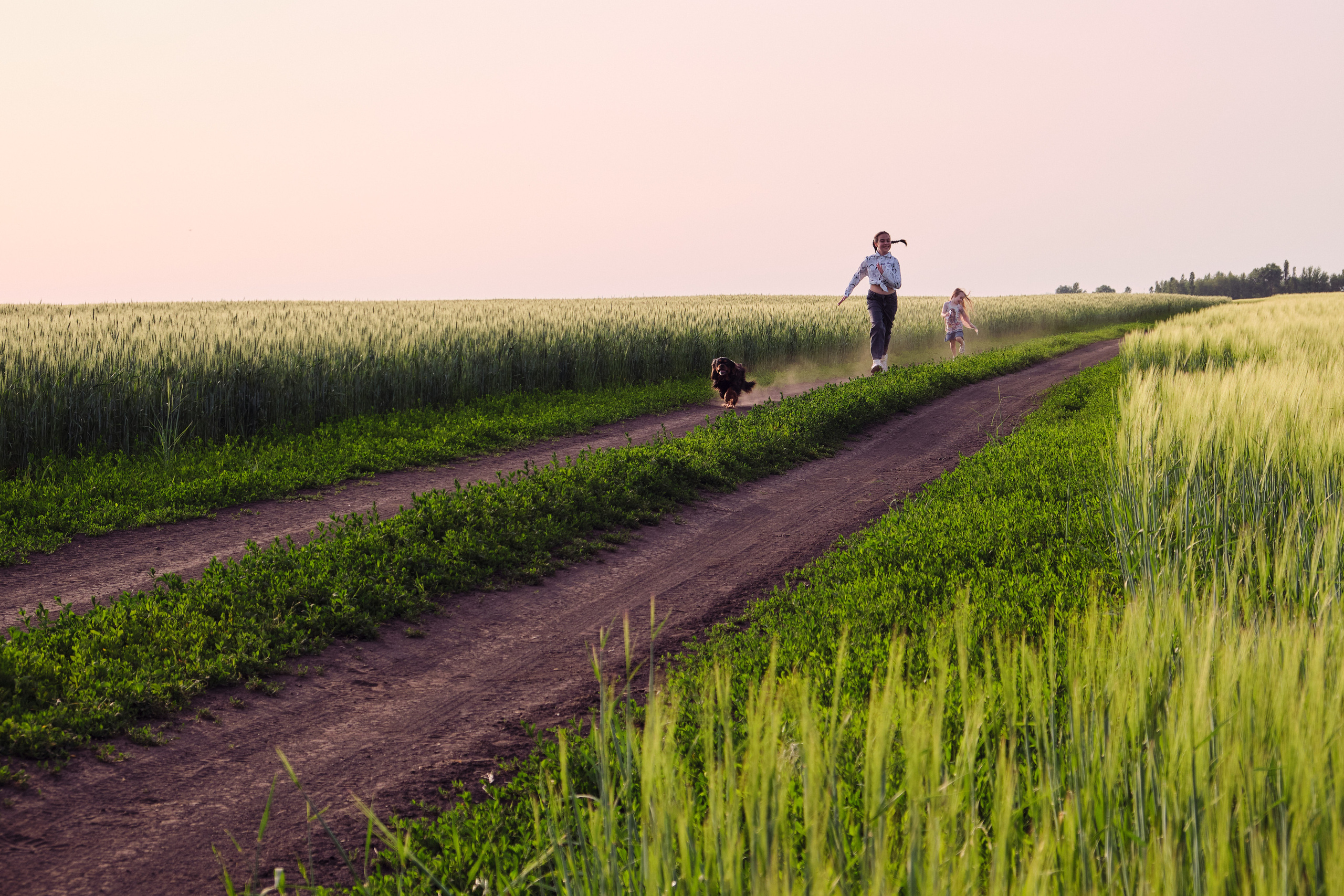 Лето!. Свадебный, семейный, детский фотограф в Острогожске Татьяна Волошина