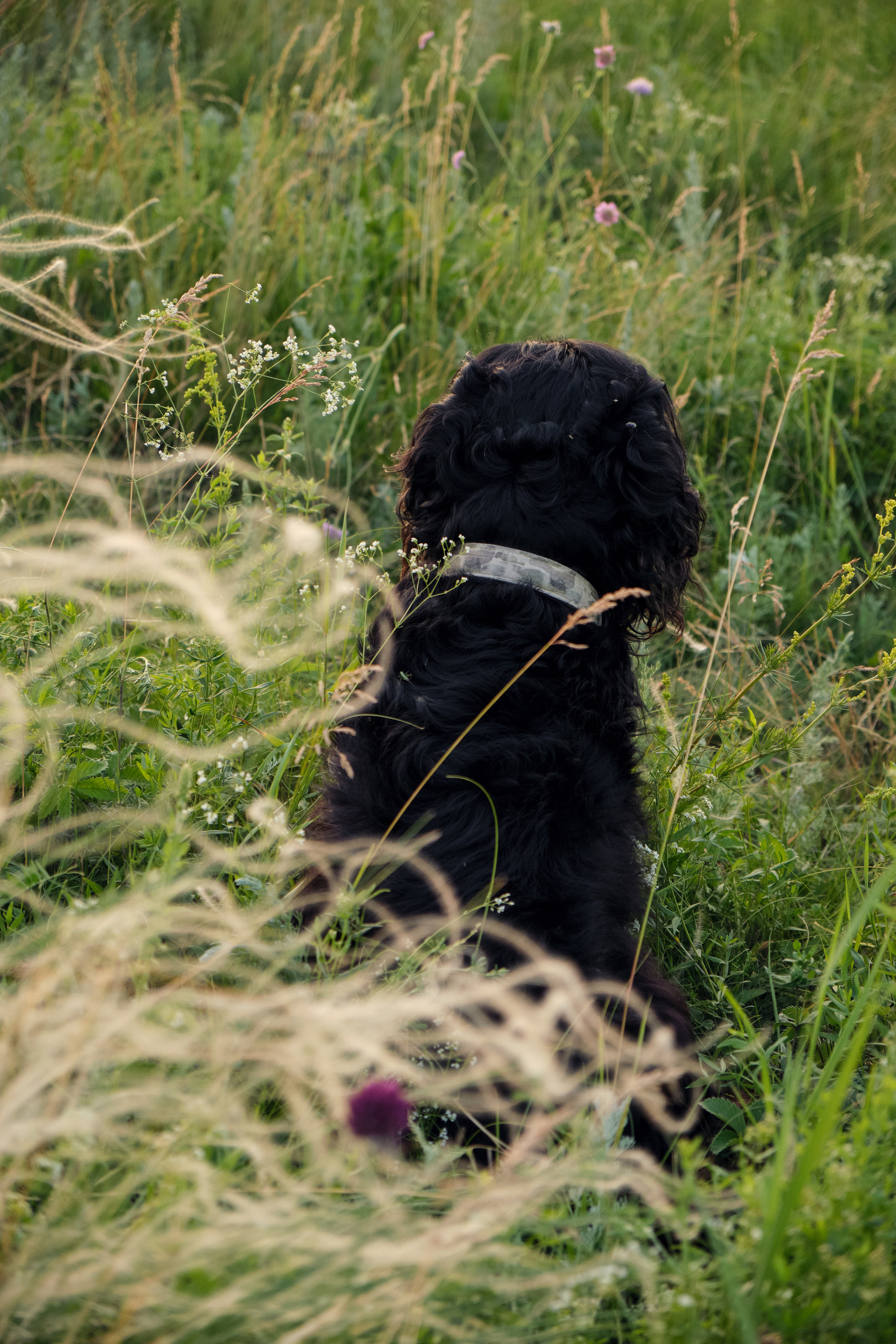 Лето!. Свадебный, семейный, детский фотограф в Острогожске Татьяна Волошина