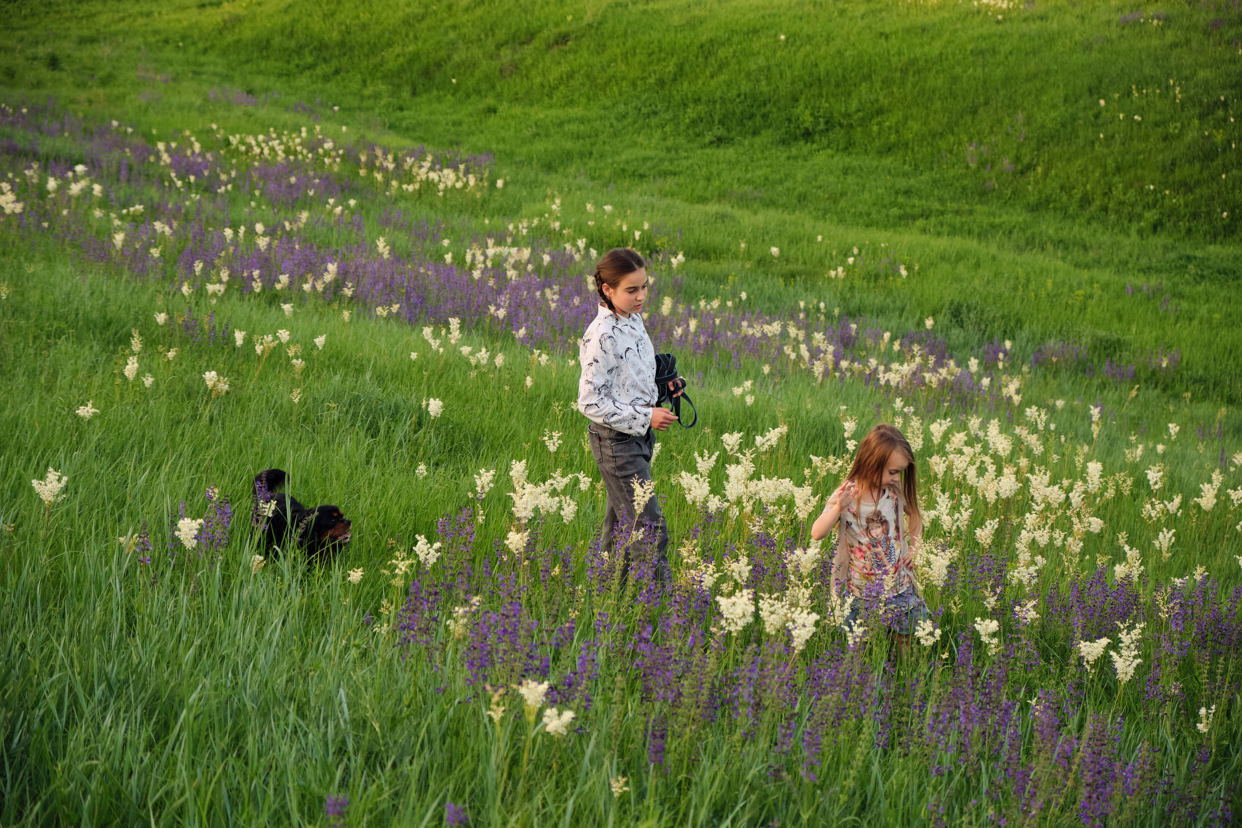 Лето!. Свадебный, семейный, детский фотограф в Острогожске Татьяна Волошина