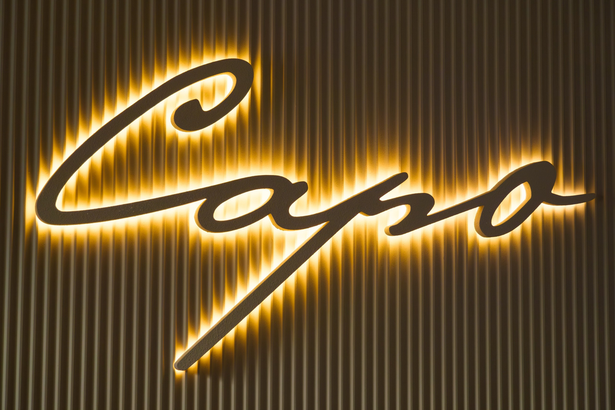 Павел Соколов. Фотограф на мероприятие в Москве