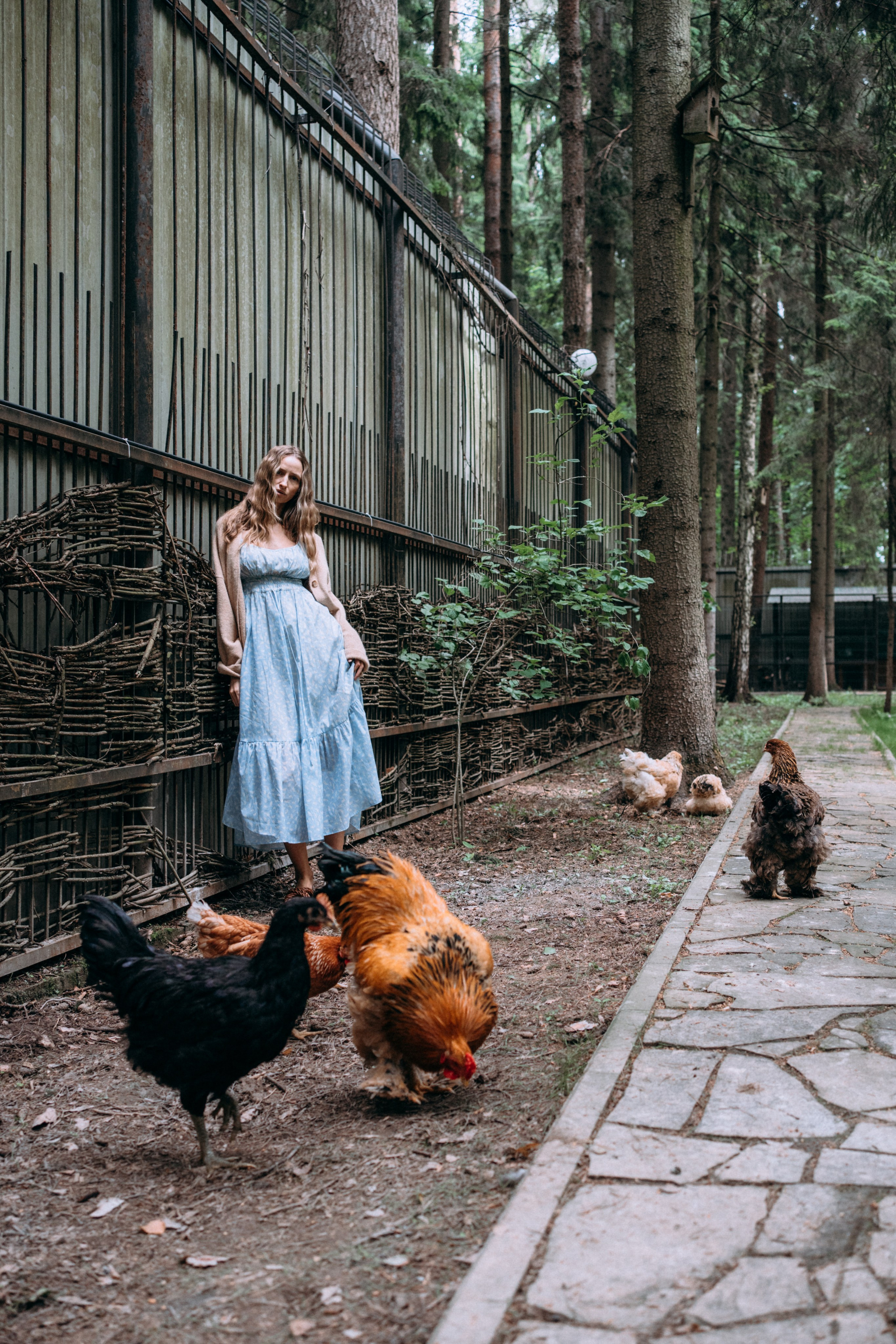 Дети. Курицы. Теплица. СТИЛЬ. Семейный и детский фотограф и видеограф в Москве, Серпухове и Тарусе Валерия Сорокина