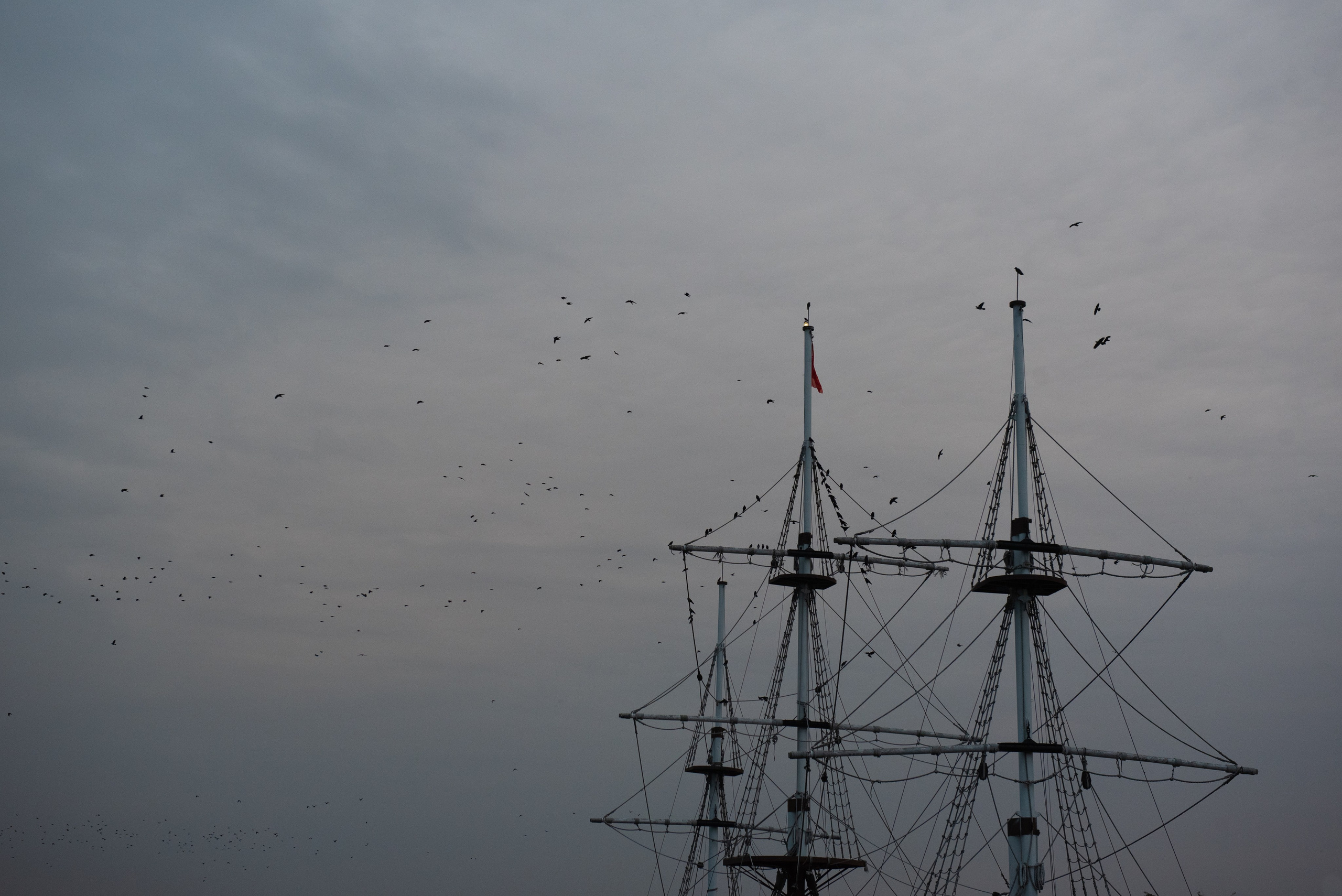 Мурмурация. Портретный и архитектурный фотограф в Москве и Санкт-Петербурге