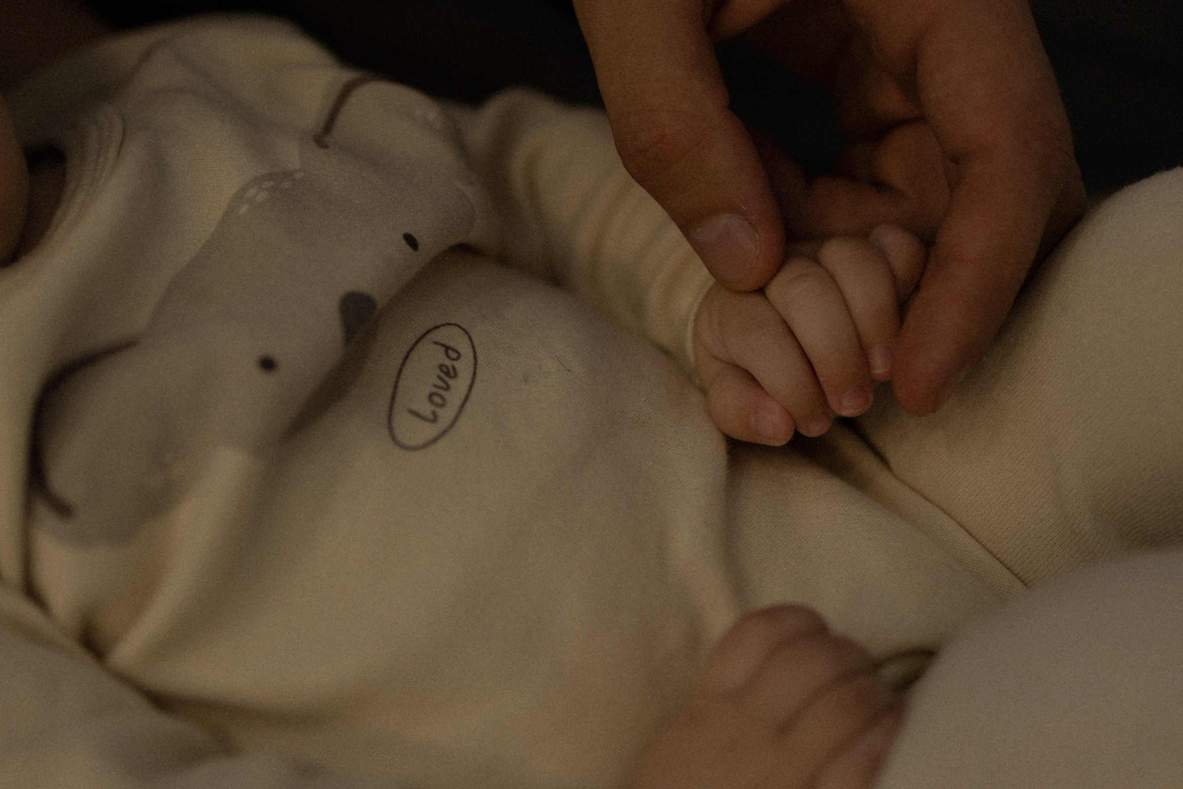 Тепло. Фотограф Daria Wilner