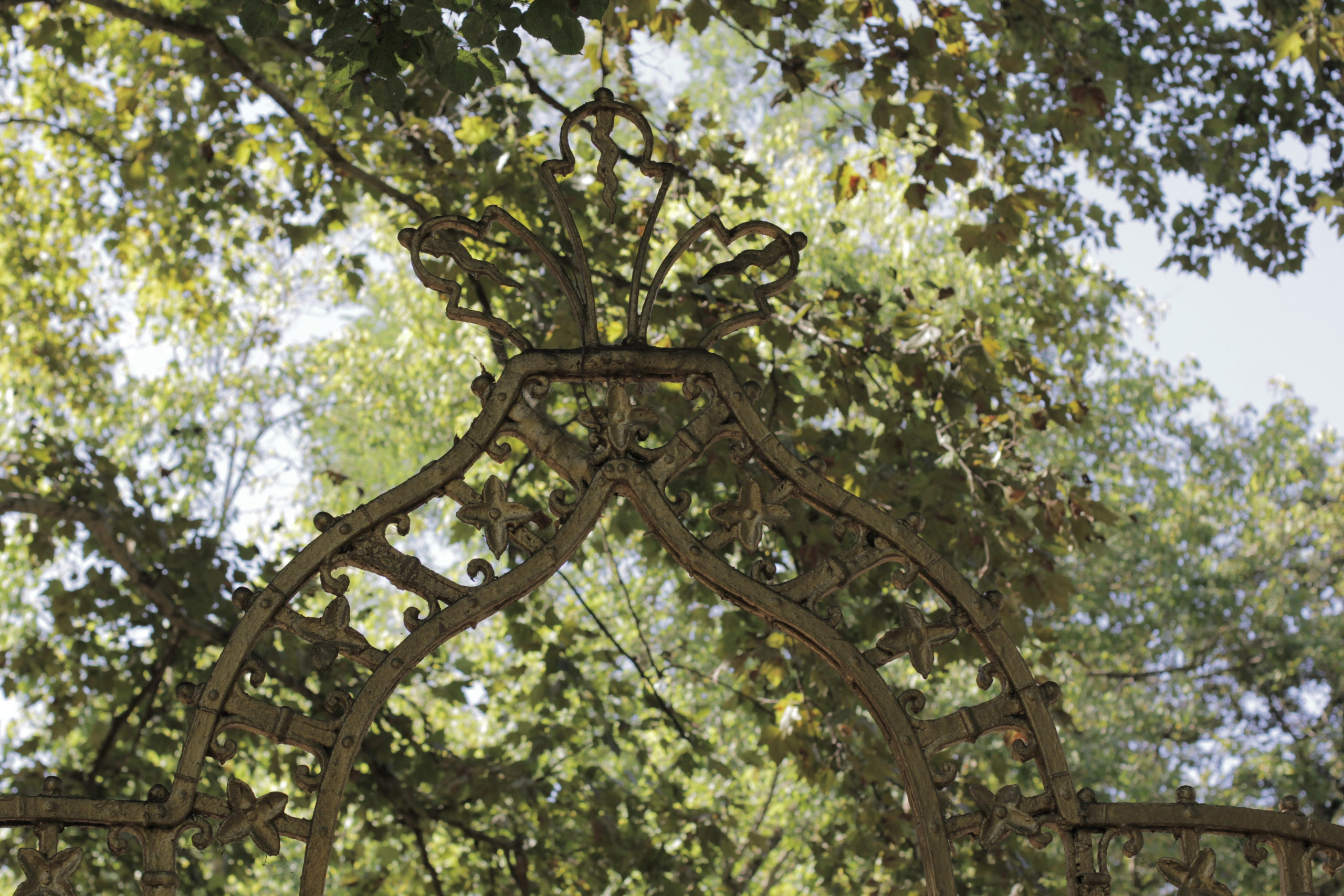 Горячий Ключ (2024-09-22). Собор Отрасли