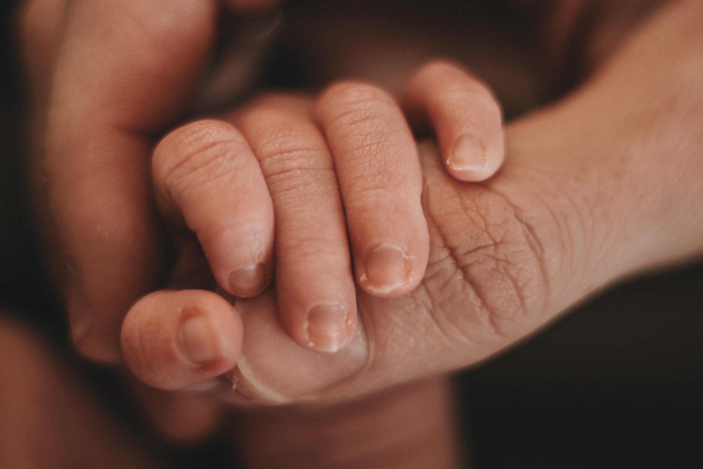 Гномик Федя с мамой и папой. Фотограф новорожденных в стиле lifestyle в Воронеже Юлия Ключникова