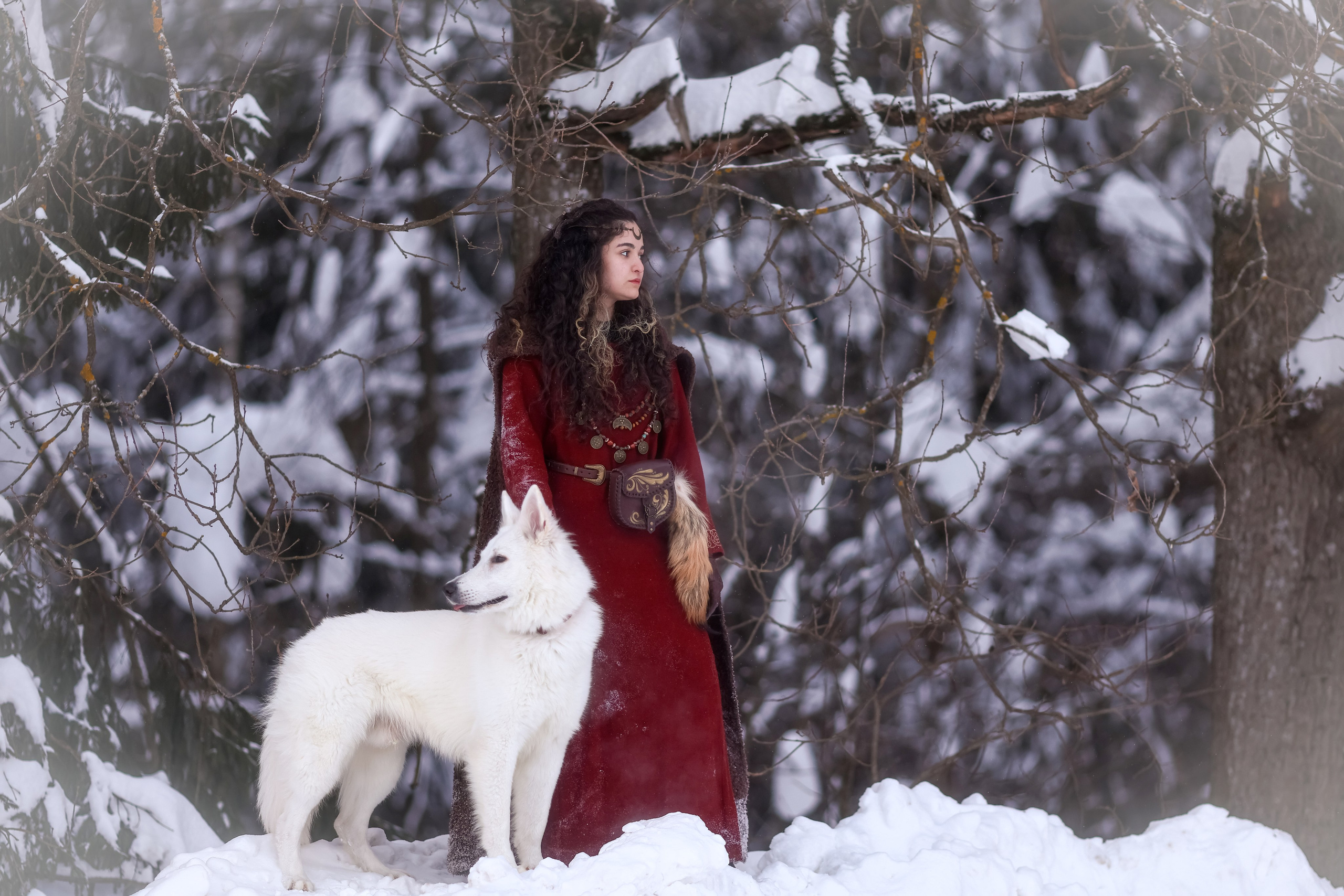 Фотосессия с лошадью в стиле викингов. Фотосессии с лошадьми