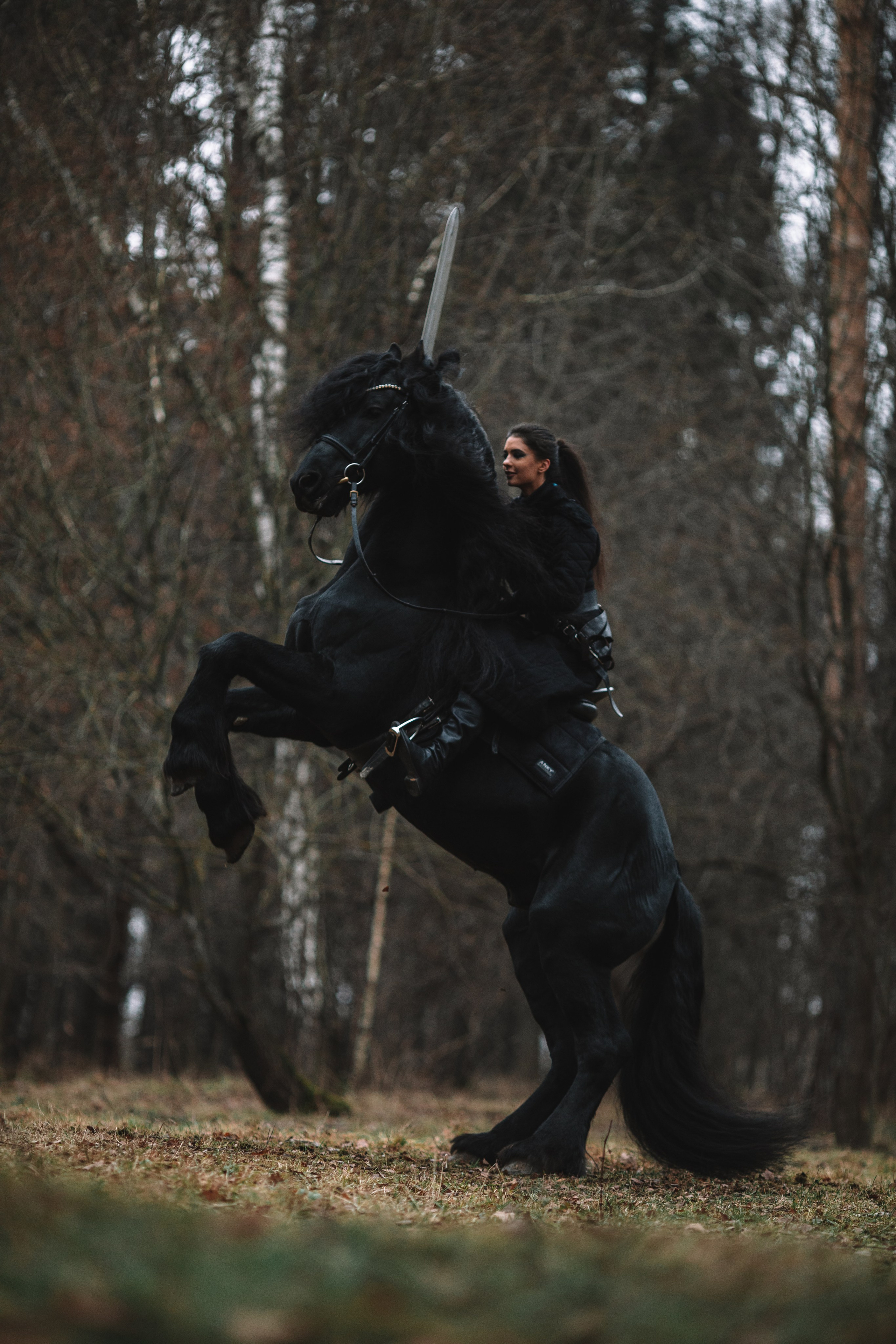 Наташа с фризом в костюме викинга. Фотосессии с лошадьми