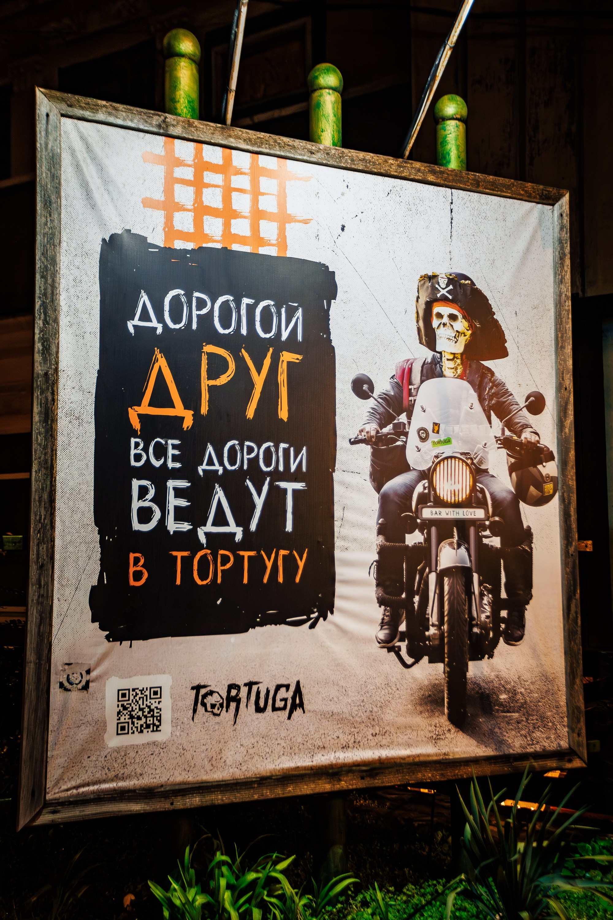 «Мартовские коты"_Tortuga_Симферополь_29.03.2025. Аминов Руслан | Фотограф