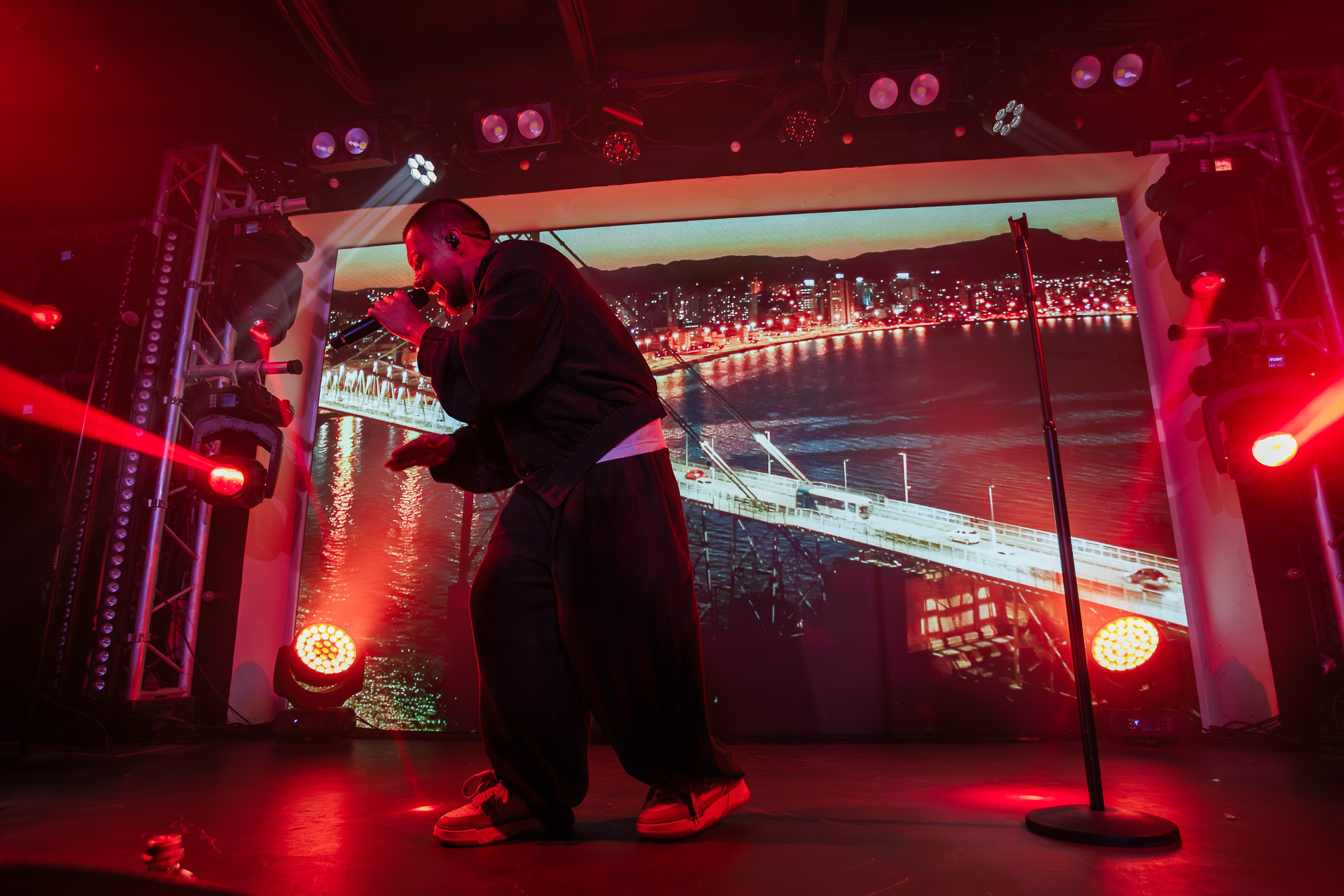 «LYRIQ"_Чайка на пляже_Ялта_15.08.2025 г. Аминов Руслан | Фотограф