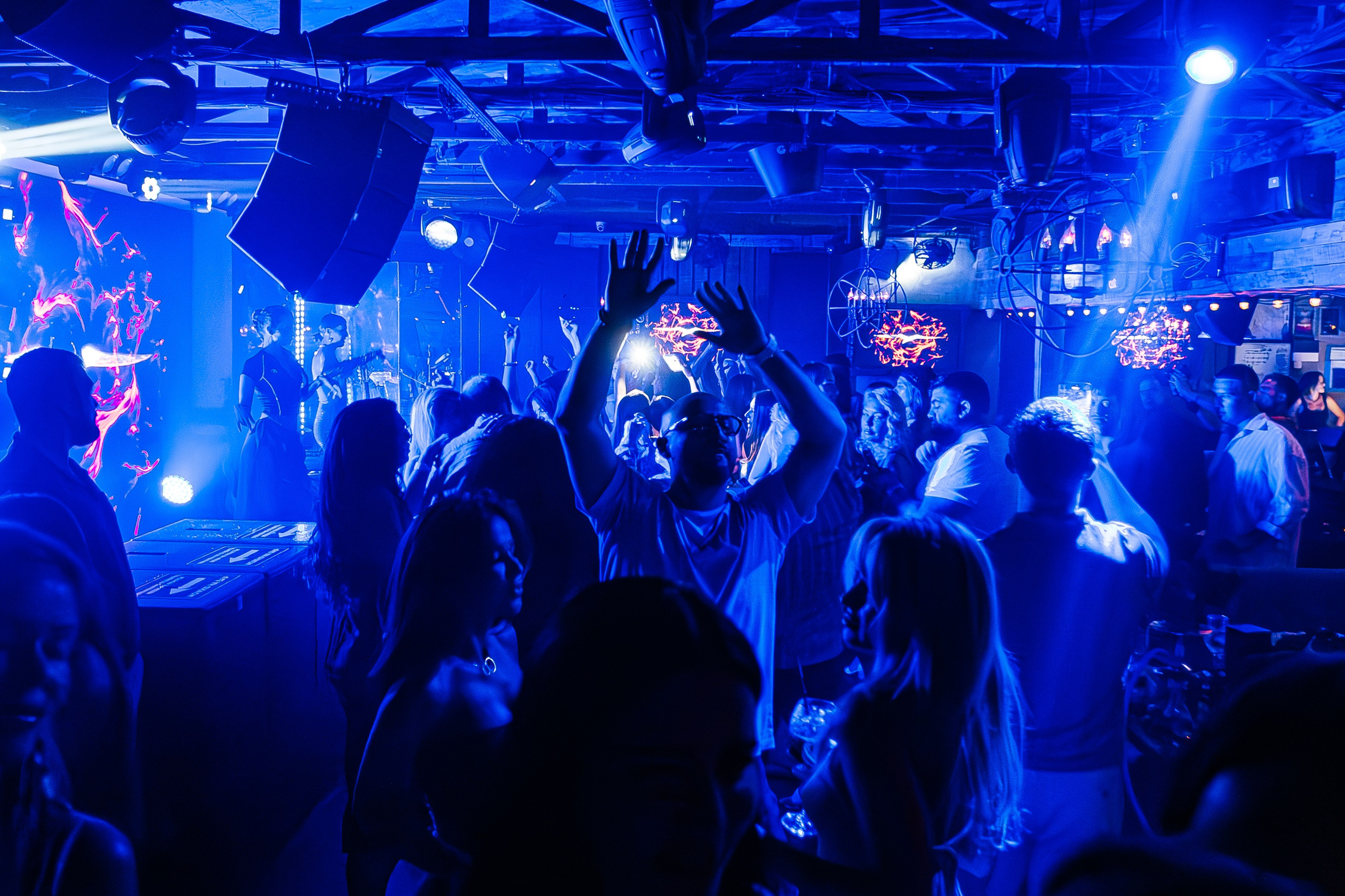 Чайка_на_пляже_Андро_Ялта_24.08.2024. Аминов Руслан | Фотограф