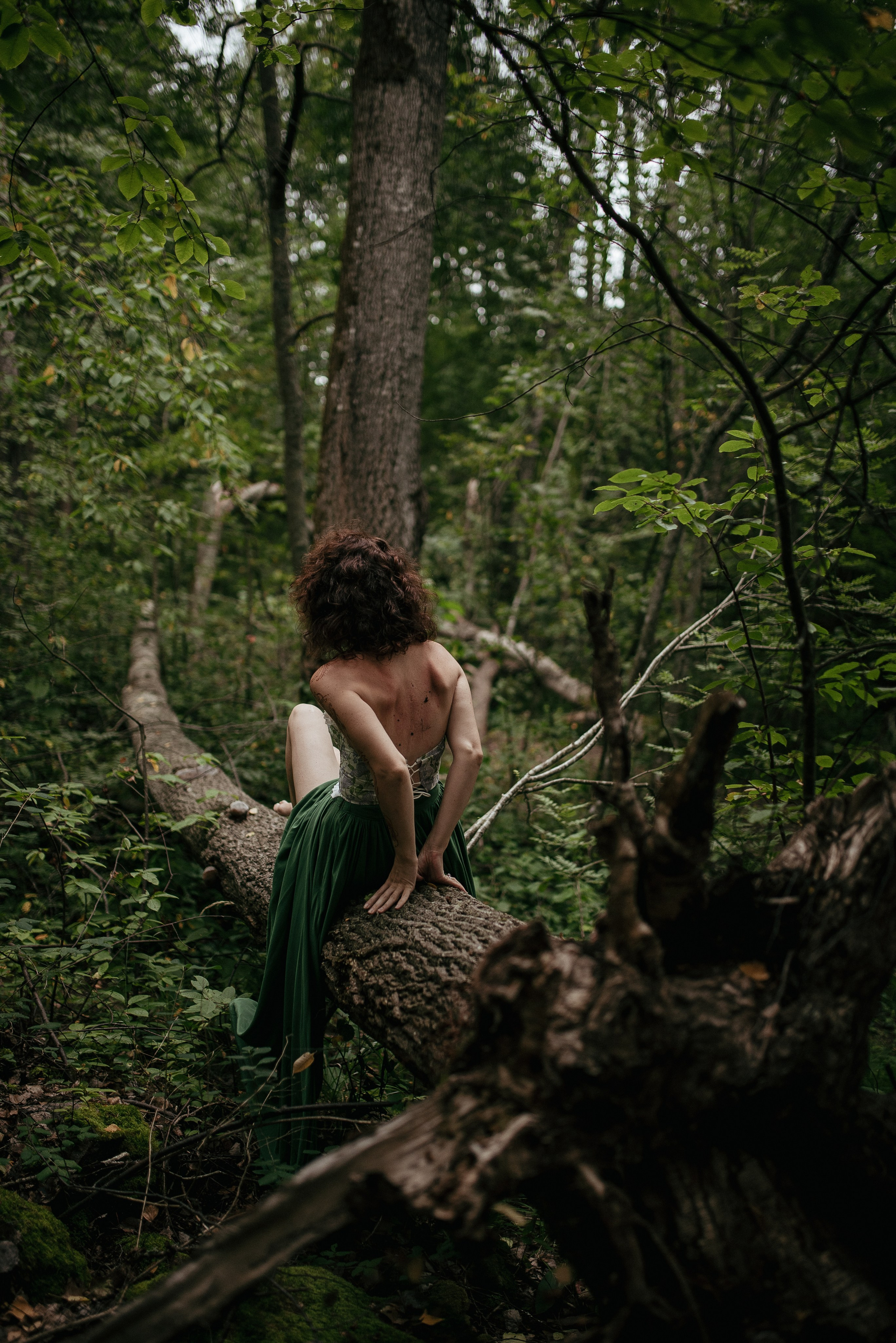 Лес. Семейный фотограф СПб