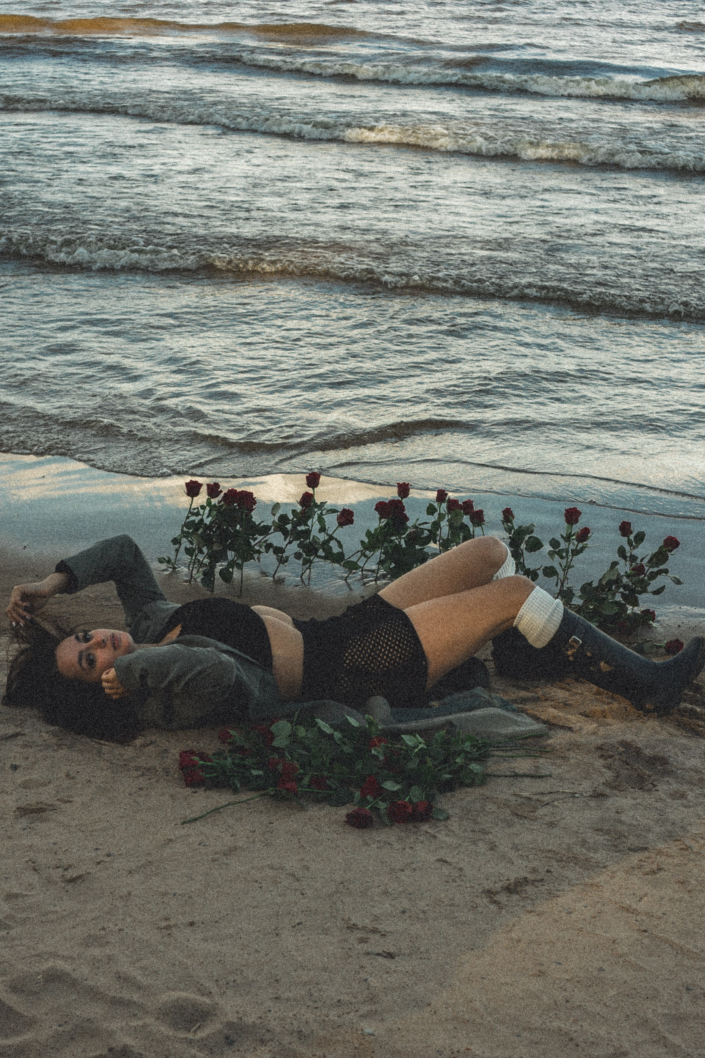 Розы. Профессиональный фотограф, Санкт-Петербург — Виктория Богомолова