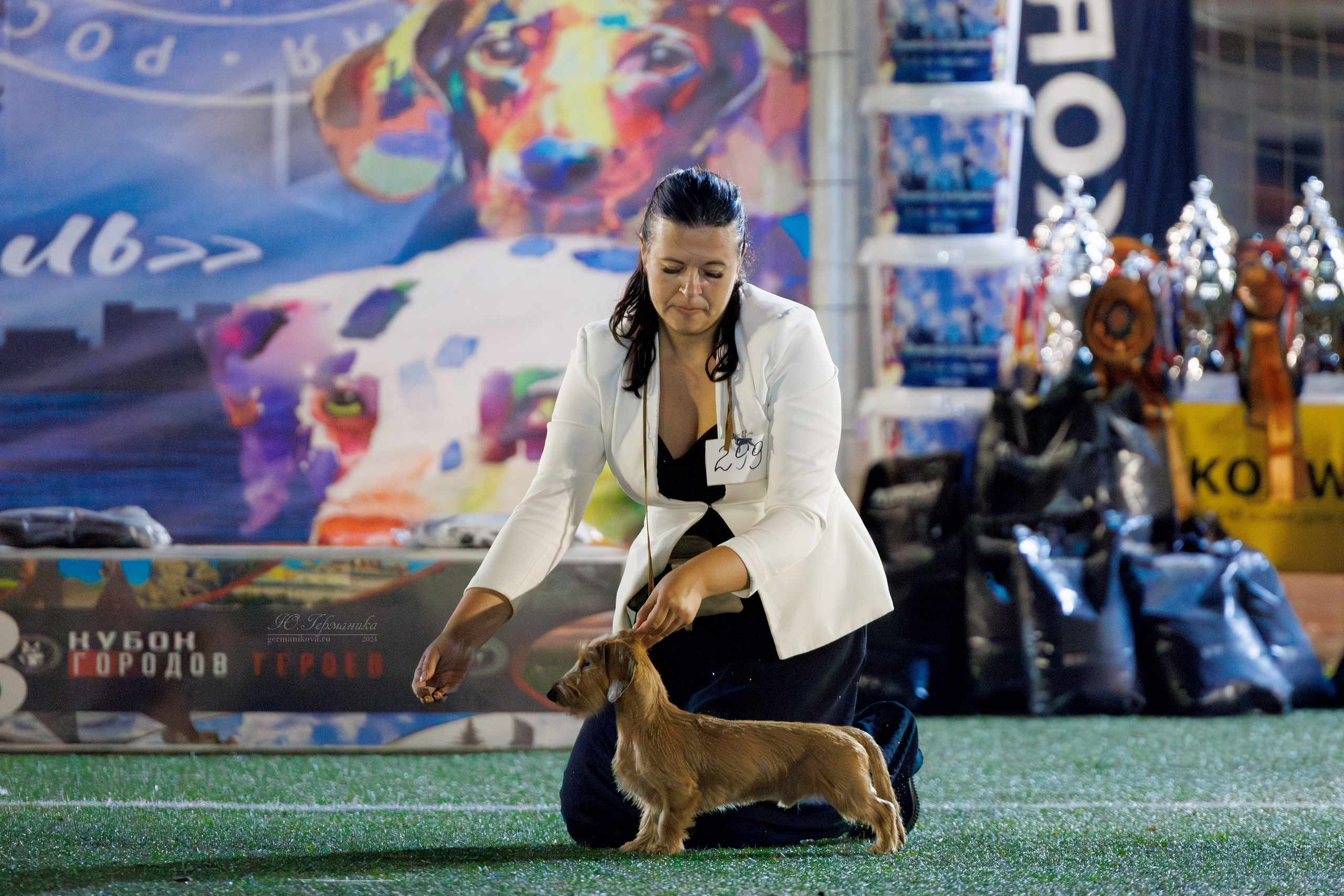 Волгоград 2-4.08.2024. Фотограф-анималист Юлия Германика