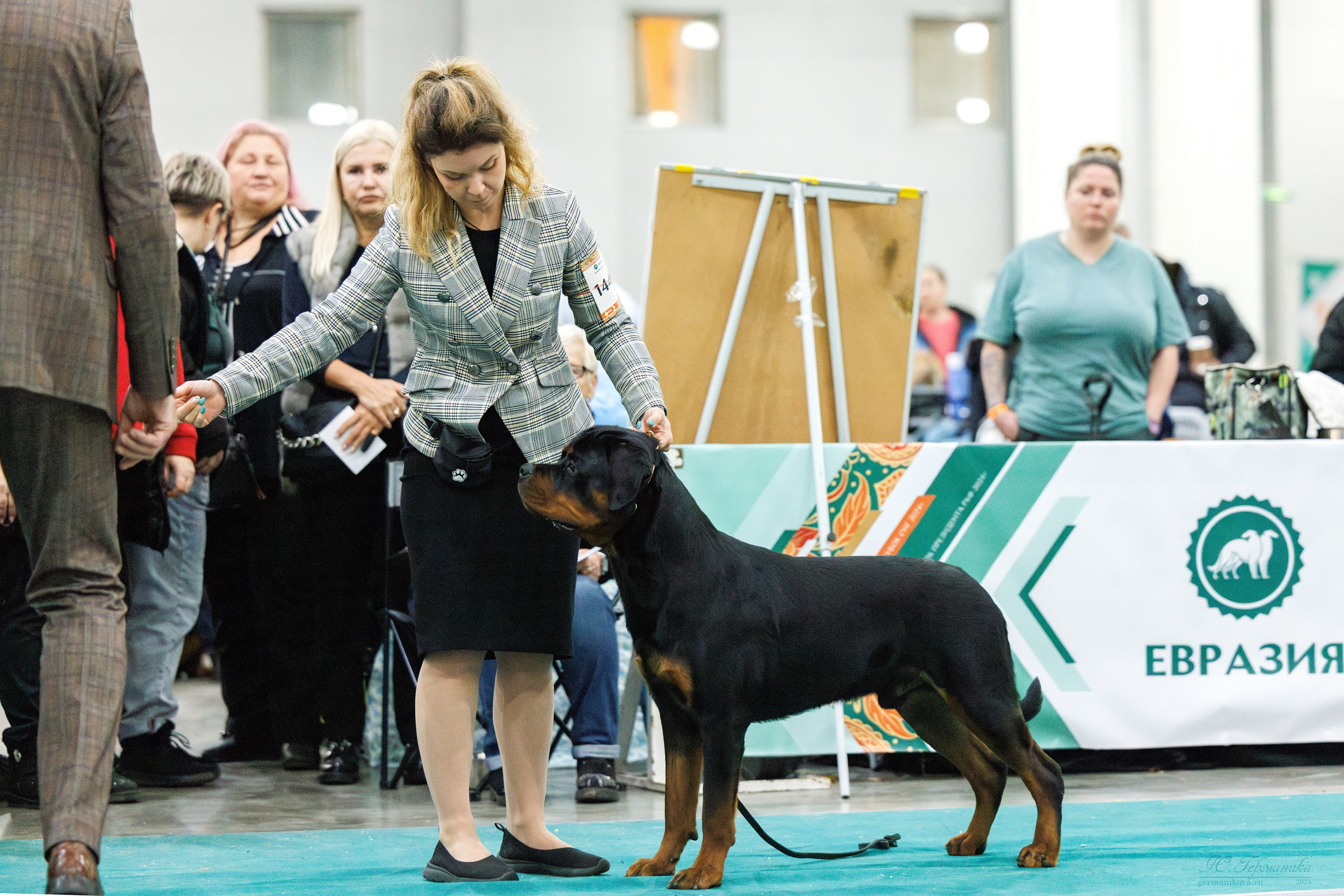 Евразия 16-17.11.2024. Фотограф-анималист Юлия Германика