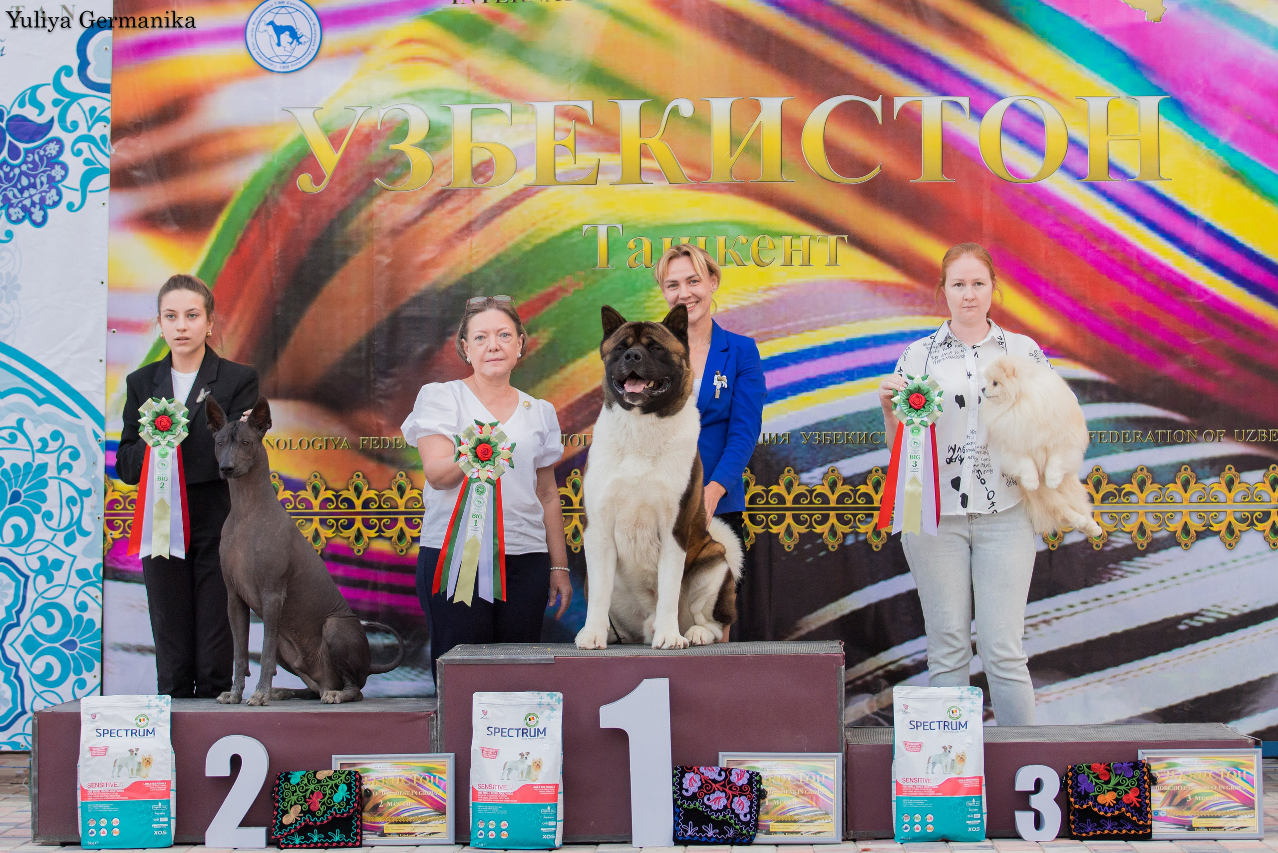 Ташкент 6-8.10.2023 + Алматы 14-15.10.2023. Фотограф-анималист Юлия Германика