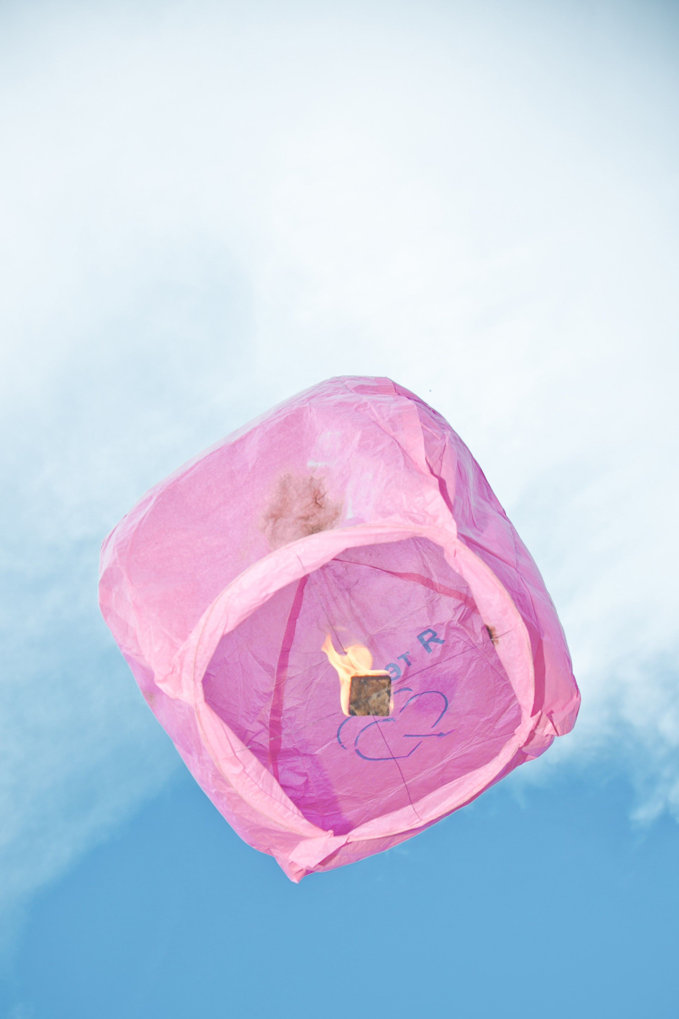 Летнее свадебное фото. Фотограф Надежда Куин, Якутск