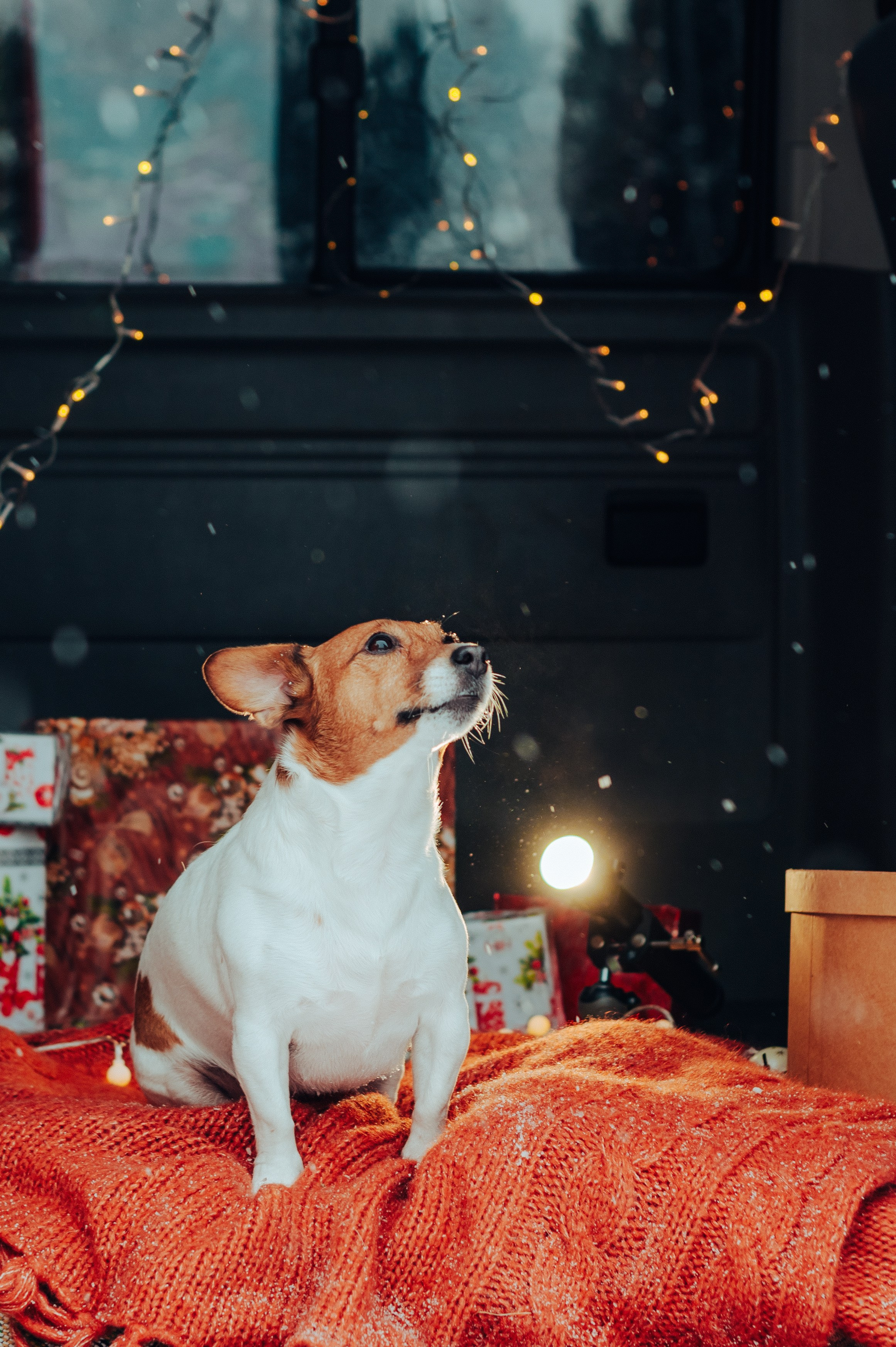 Вика и Денис. Детский и семейный фотограф Катерина Мишина