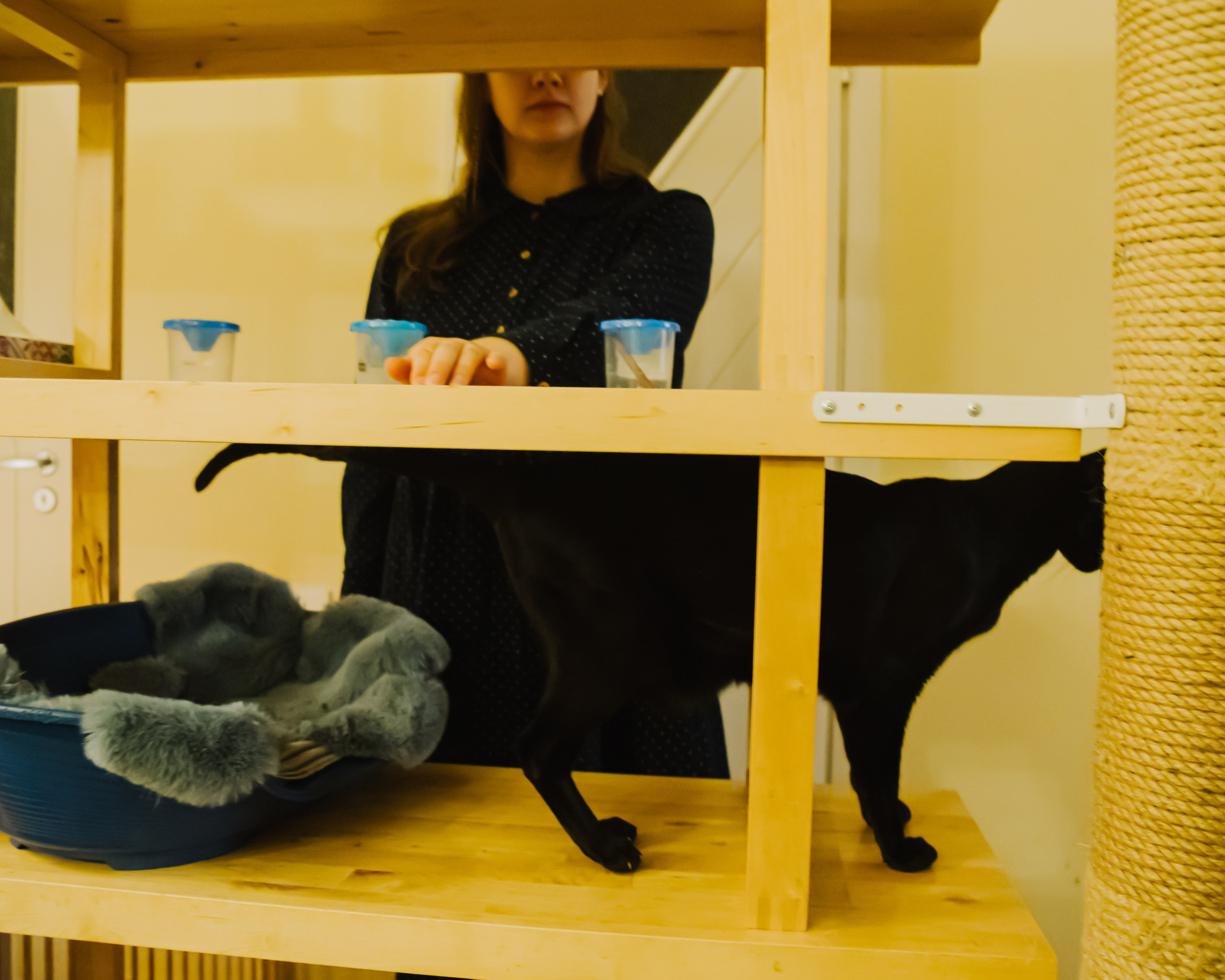 Гилдин. Портретный фотограф Ванинен Анастасия. Санкт-Петербург