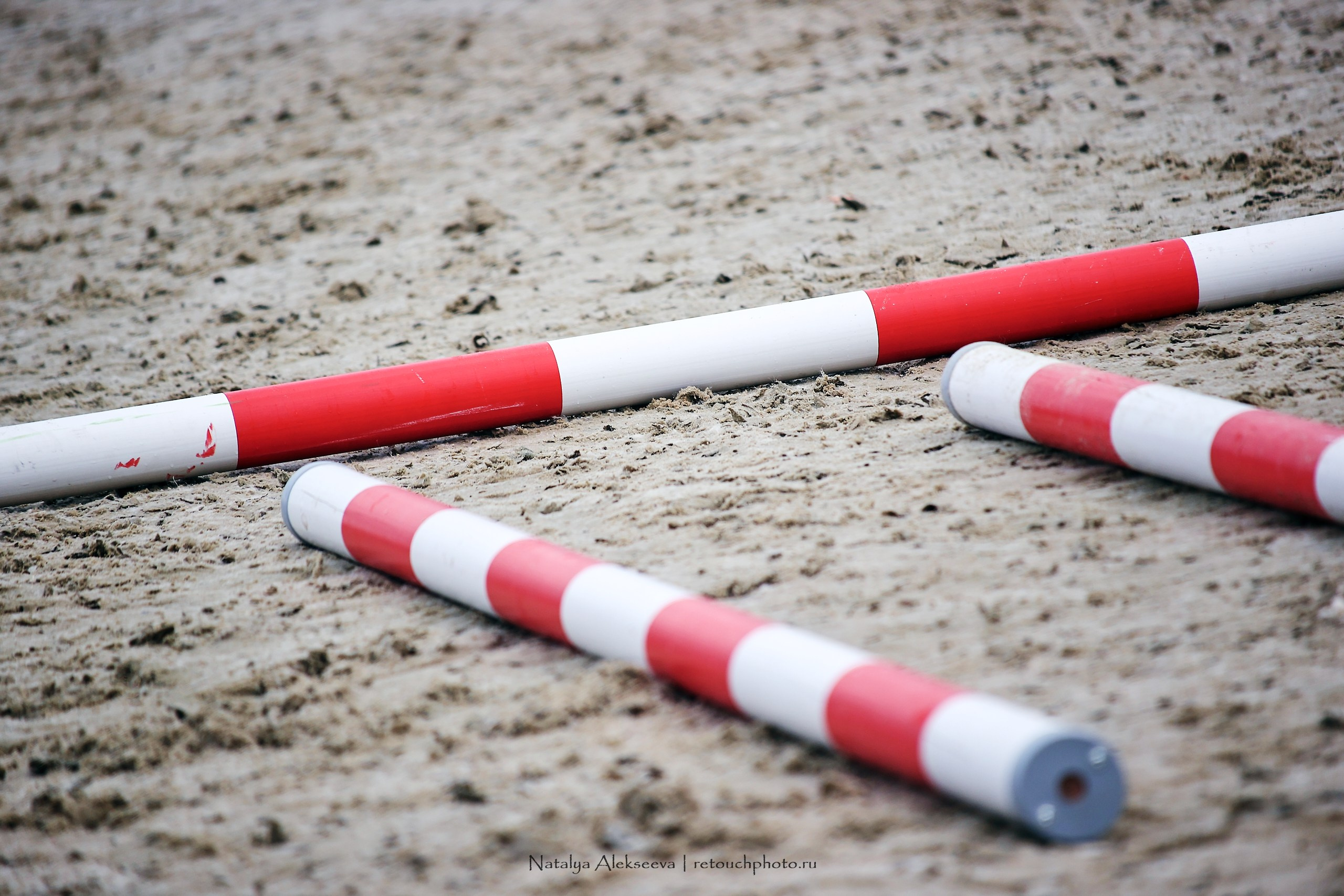 Лично-Командный ЧР по конкуру, КСК Horseka | 08'2023. Репортажный фотограф и ретушер в Москве Наталья Алексеева