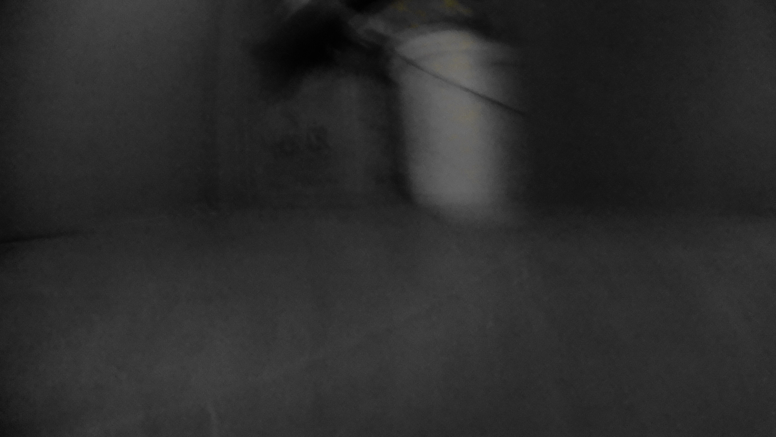 Гости. Fedor Kalinin