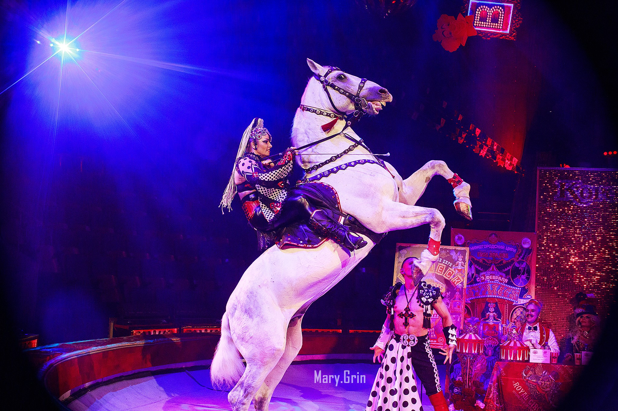 Цирк Гии Эрадзе. Детский и семейный фотограф, фотограф мероприятий Нижний Новгород