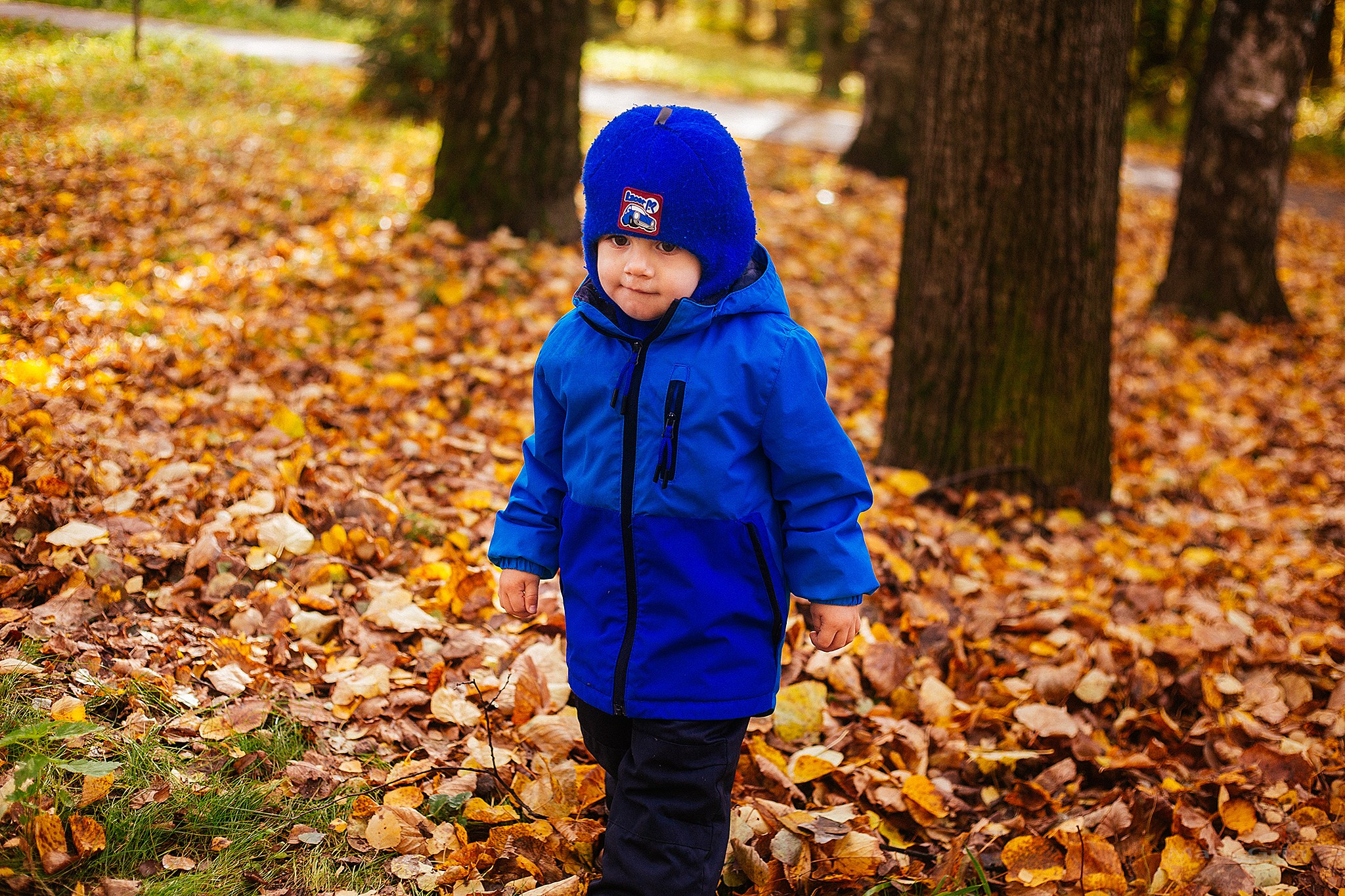 Осень в парке. Детский и семейный фотограф, фотограф мероприятий Нижний Новгород