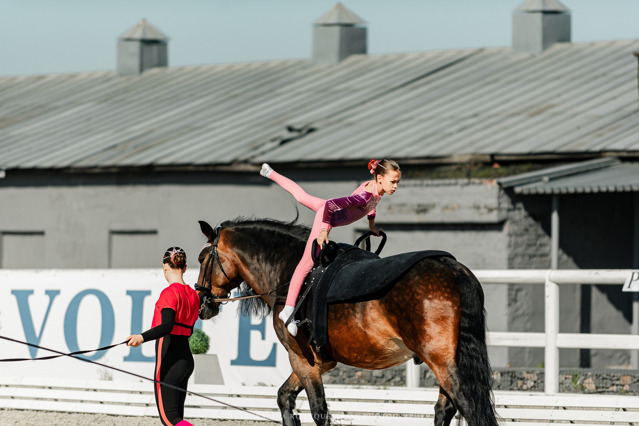РЕПОРТАЖ МКК ВОЛЬТ «LA TULIPS». Конный фотограф Куракина Дарья • Фотосессии с лошадьми