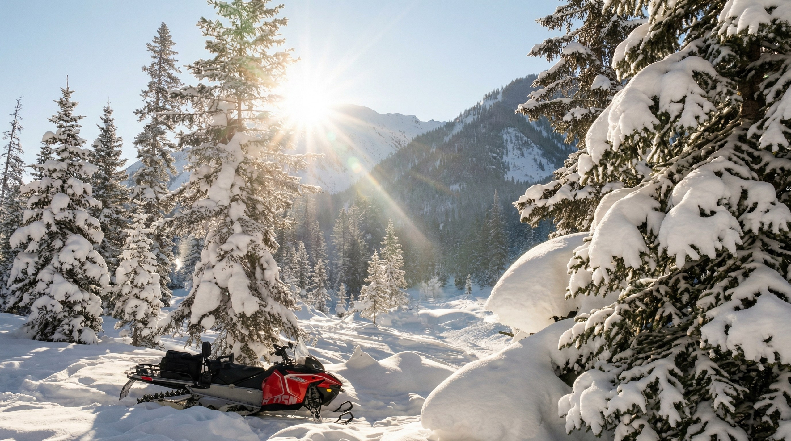 Улучшение фотографий для сайта. Предметный фотограф и видеограф, ИИ генерации в Москве Карсакова