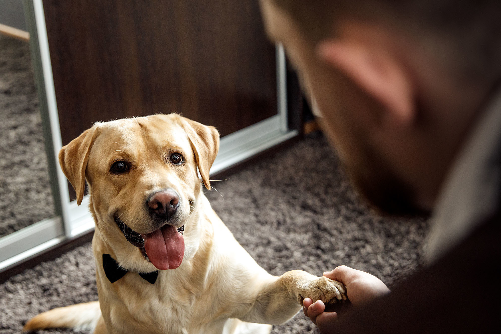 33 килограмма веселья! Егор и Настя. Свадебный фотограф  Байжанов Марат
