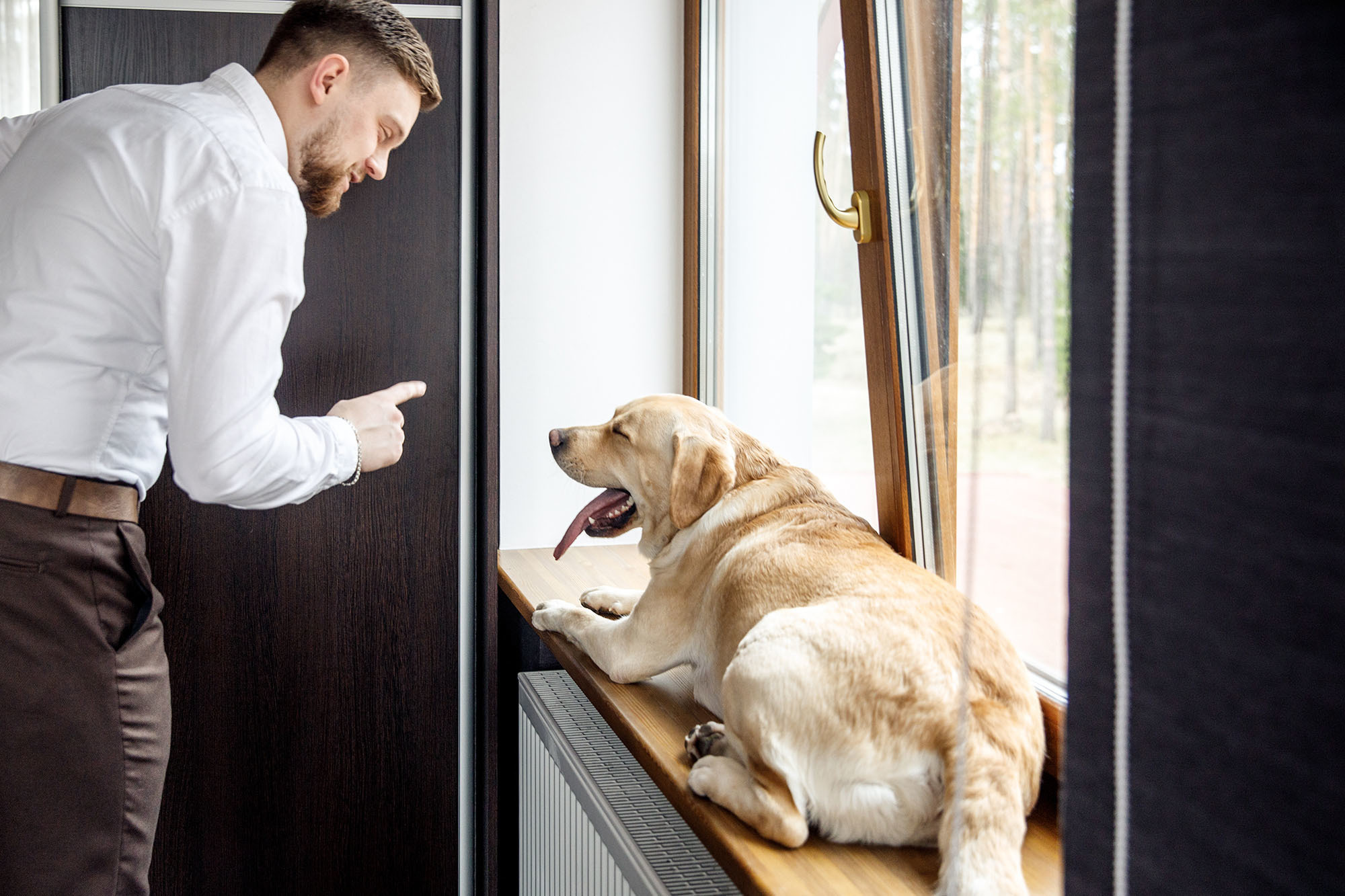 33 килограмма веселья! Егор и Настя. Свадебный фотограф  Байжанов Марат