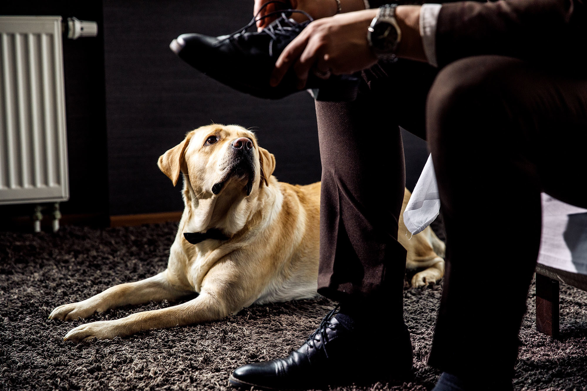 33 килограмма веселья! Егор и Настя. Свадебный фотограф  Байжанов Марат