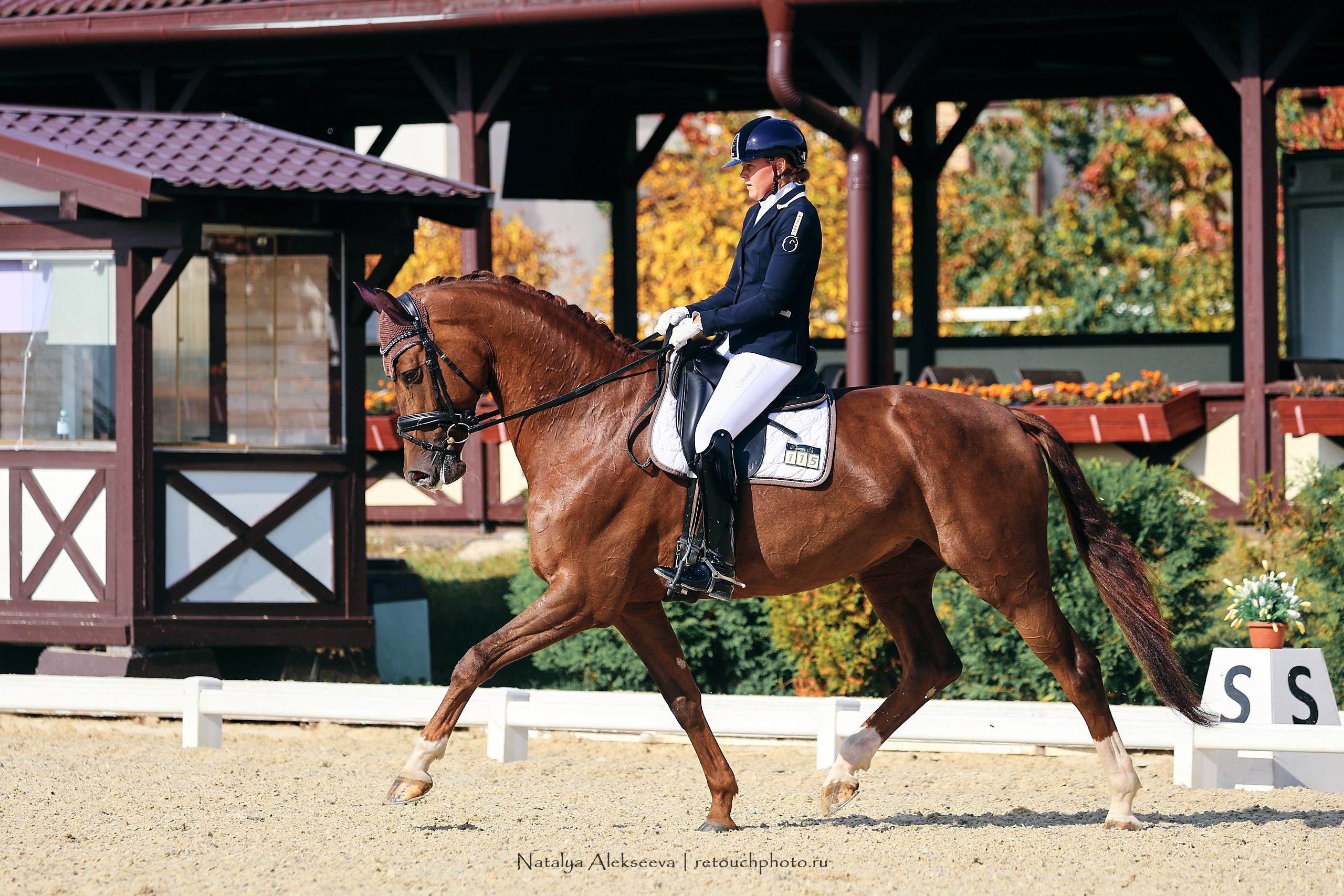 2023.09.22-24 Чемпионат MM Eurasia по средним ездам, Maxima Stables | 09'2023. Репортажный фотограф и ретушер в Москве Наталья Алексеева