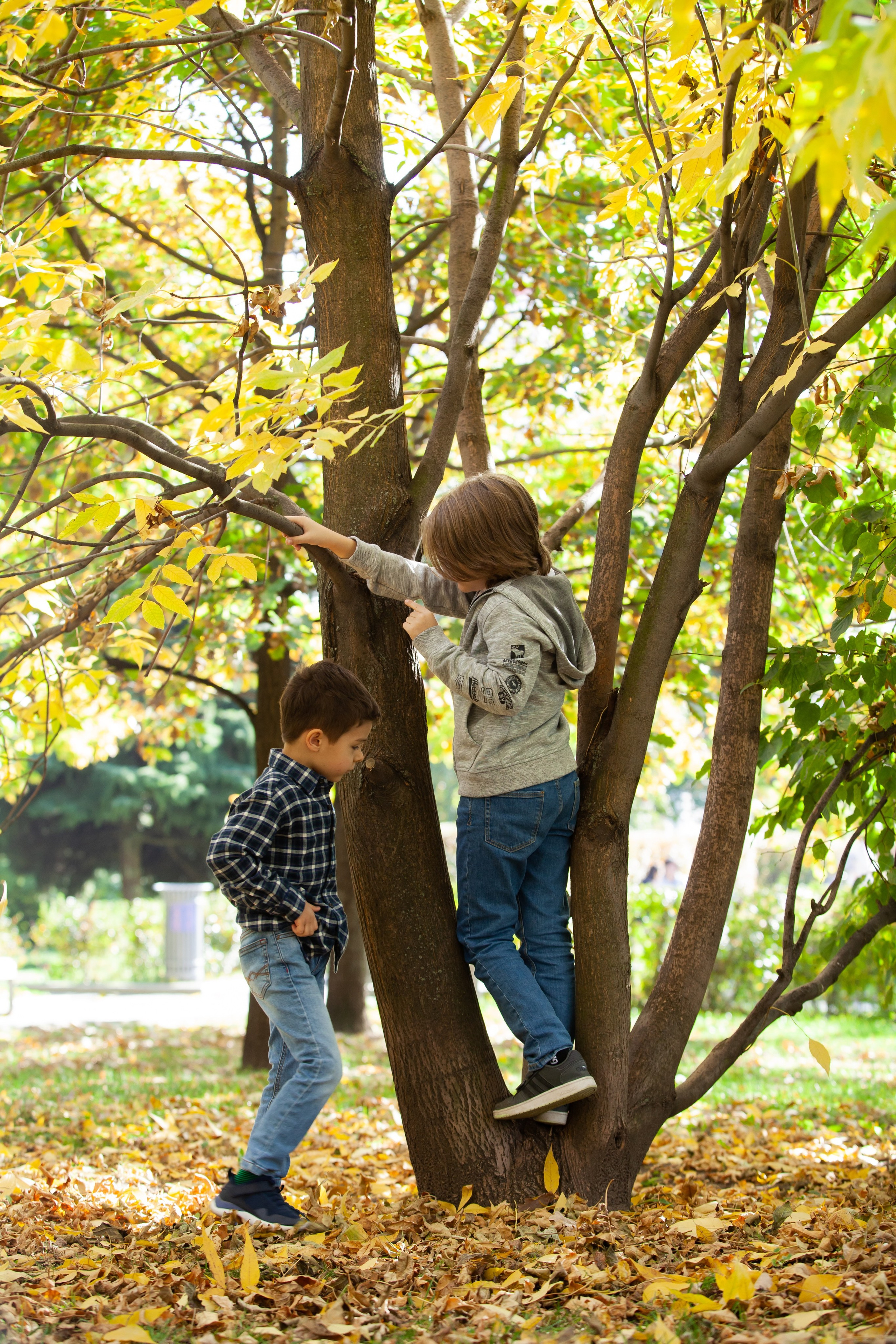 Семейная фотосъемка в саду Баумана. Фотографы в Москве Светлана Устинова и Сергей Грачев