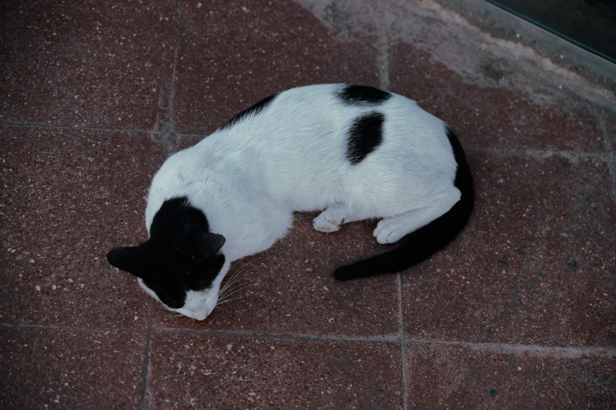 Улица горизонтальная. Jorgis — фотограф в Хургаде / обучение фотографии