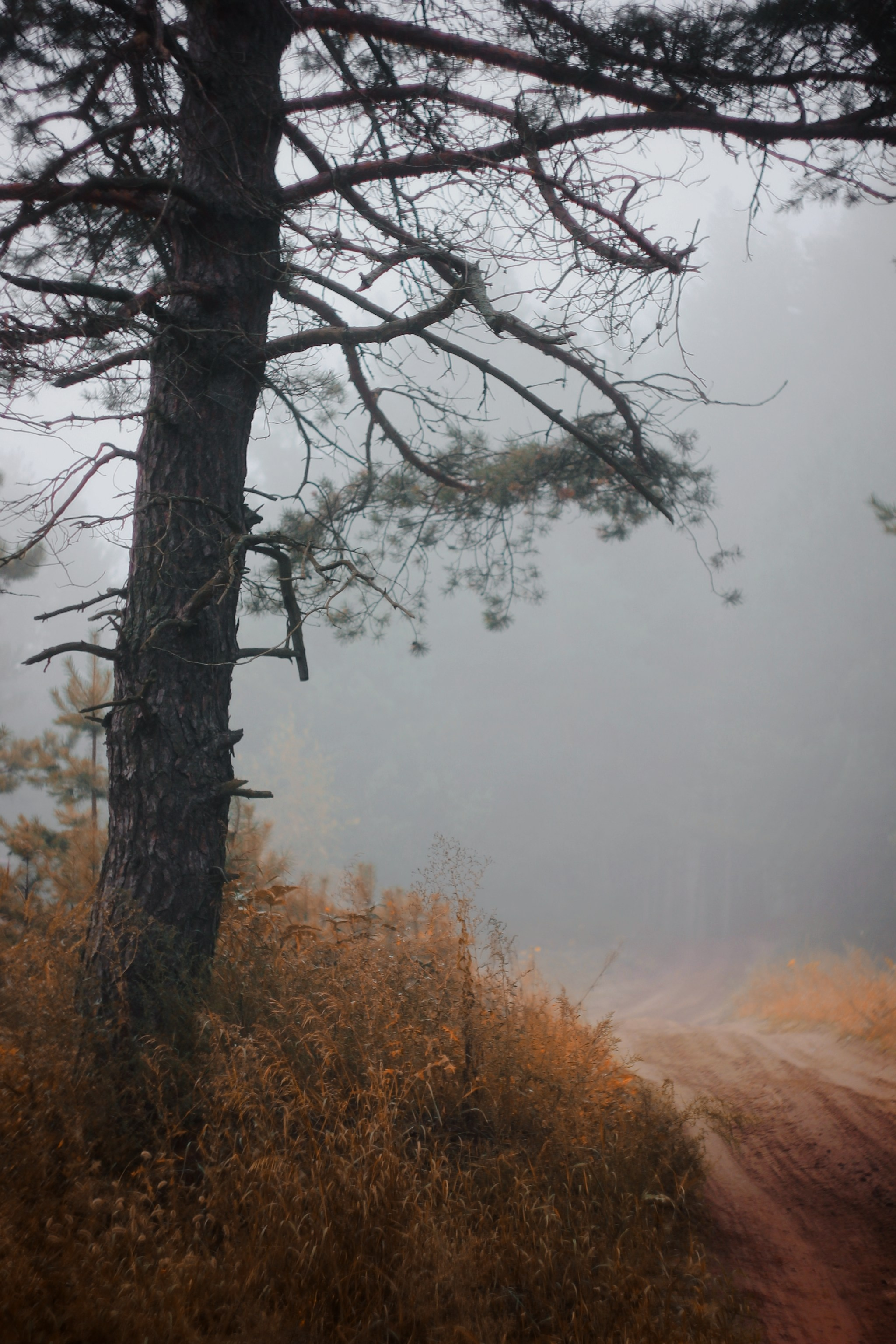 Меланхолия августа. С любовью, фотохудожник