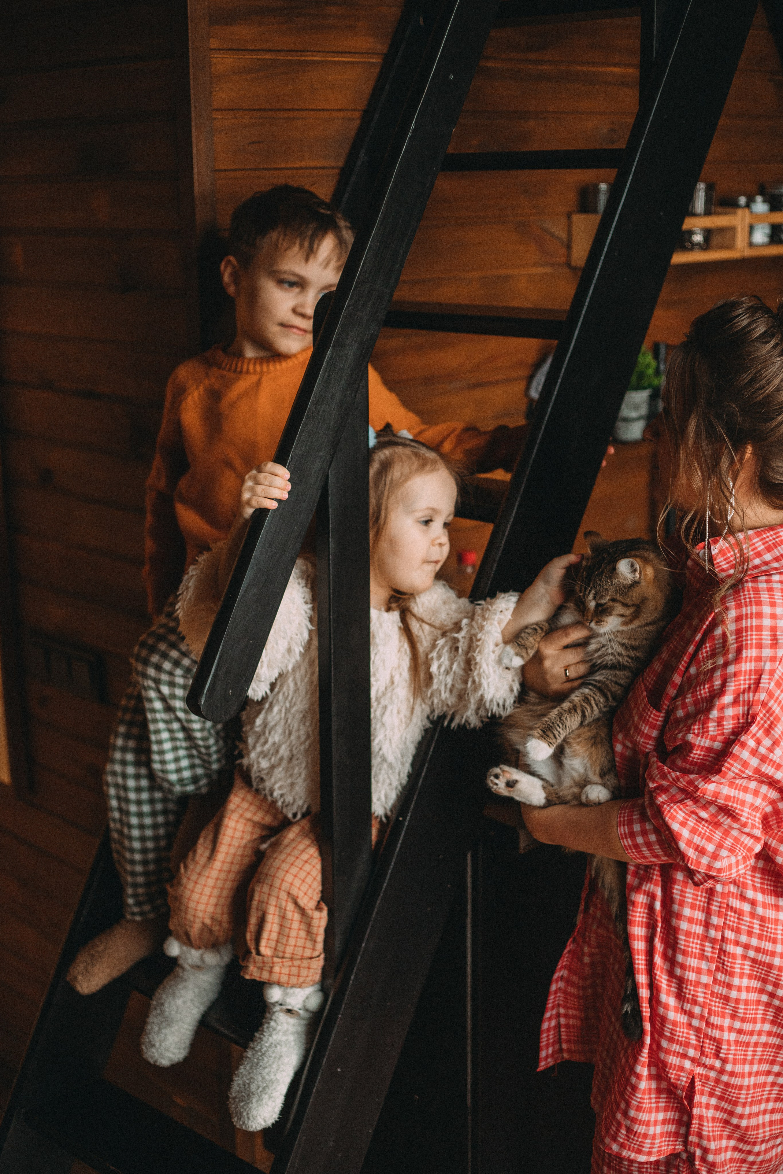 Треугольный домик. Главная