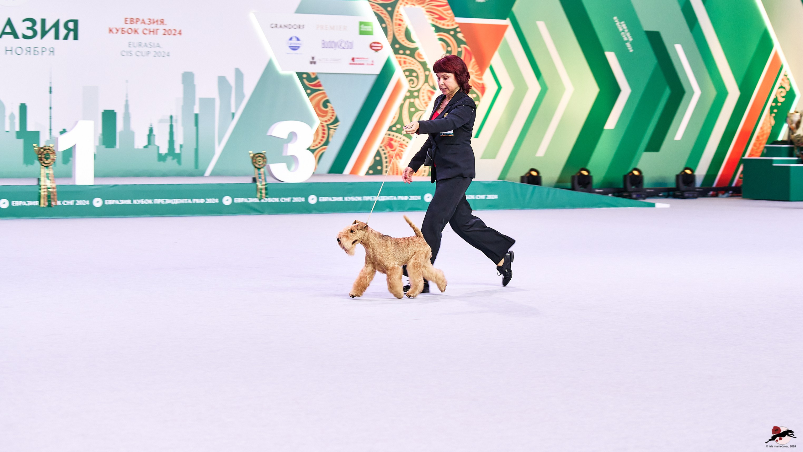 16.11.2024 «ЕВРАЗИЯ. КУБОК ПРЕЗИДЕНТА РКФ 2024»