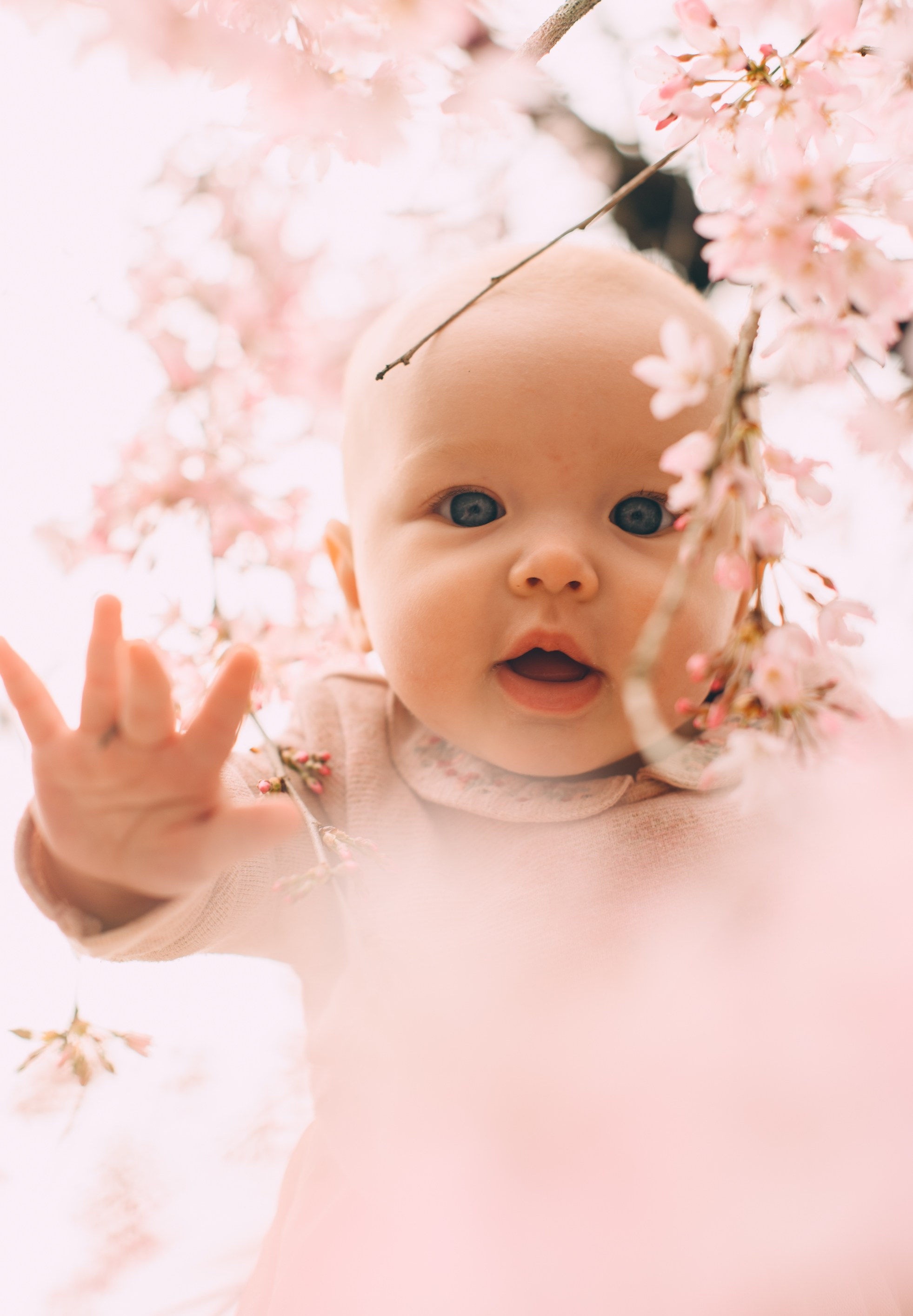 Цветение в Южных Культурах. Свадебный и семейный фотограф София Невская