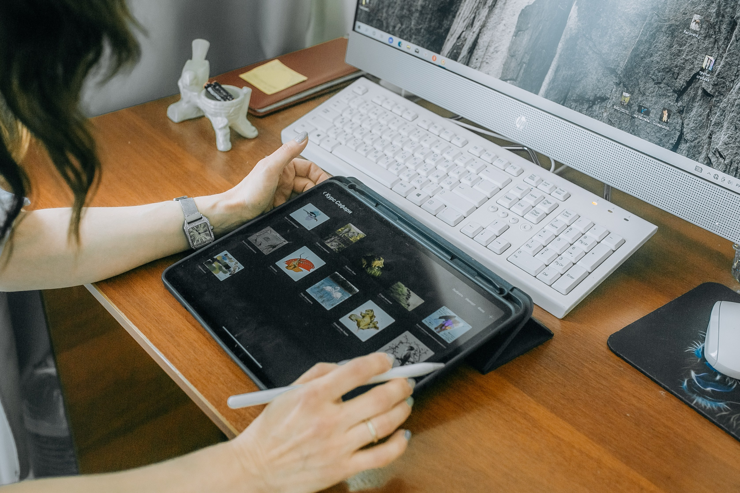 Художник. Фотограф в Новосибирске Ася Зверева