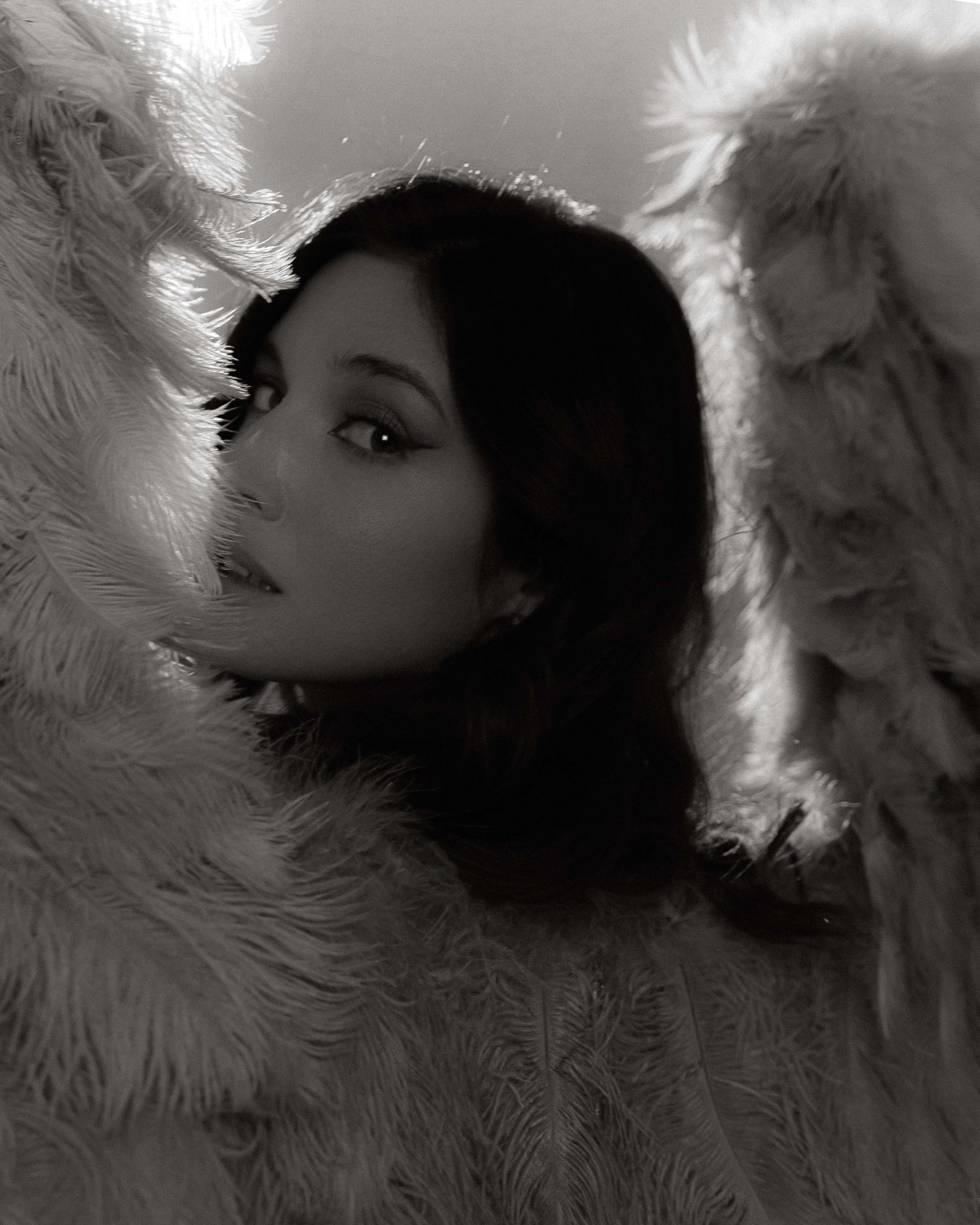 Камелия. DARYA.BELKINA