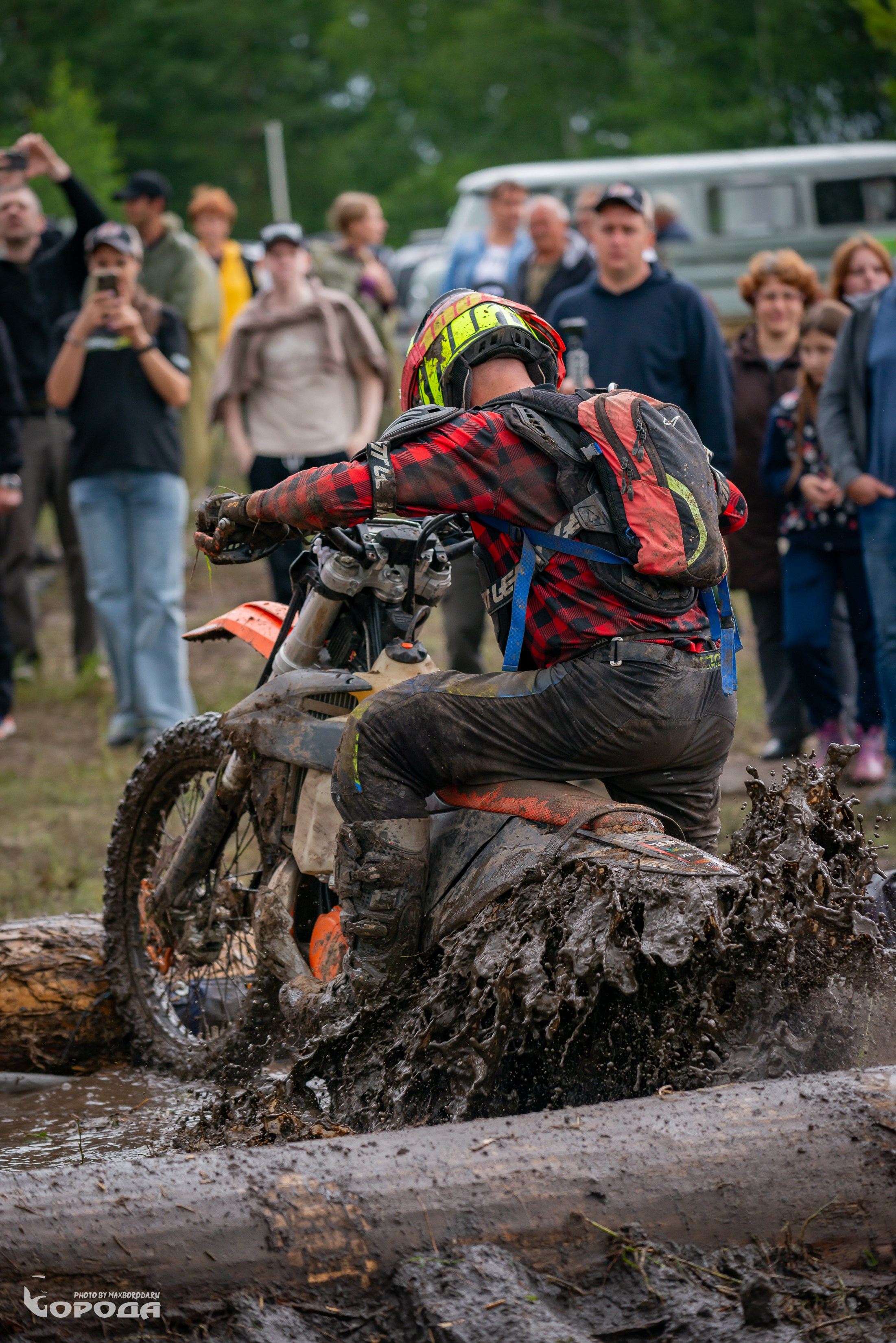 Дубрава 2025. Фотограф | Макс Борода