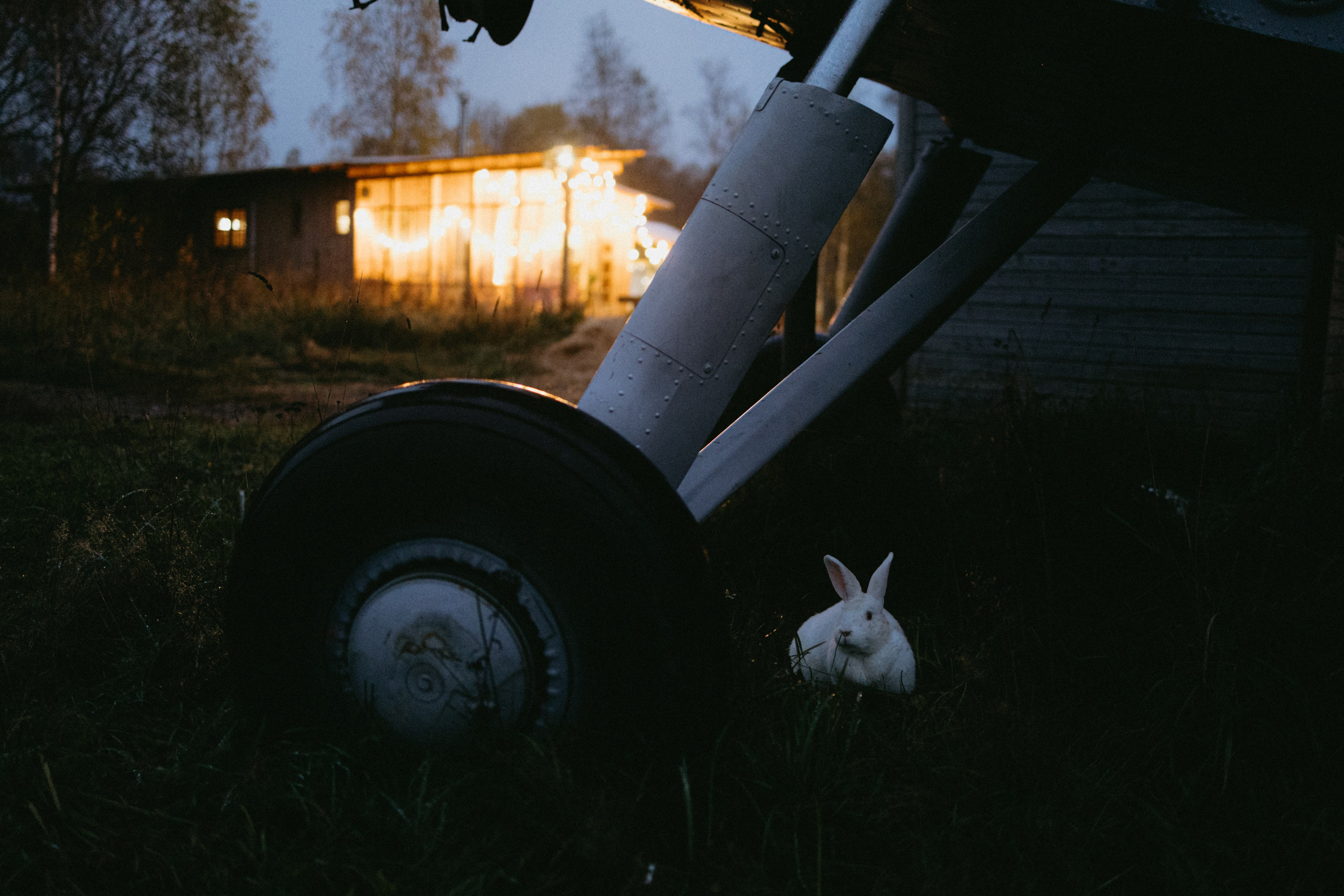 Новые земли. Про любовь