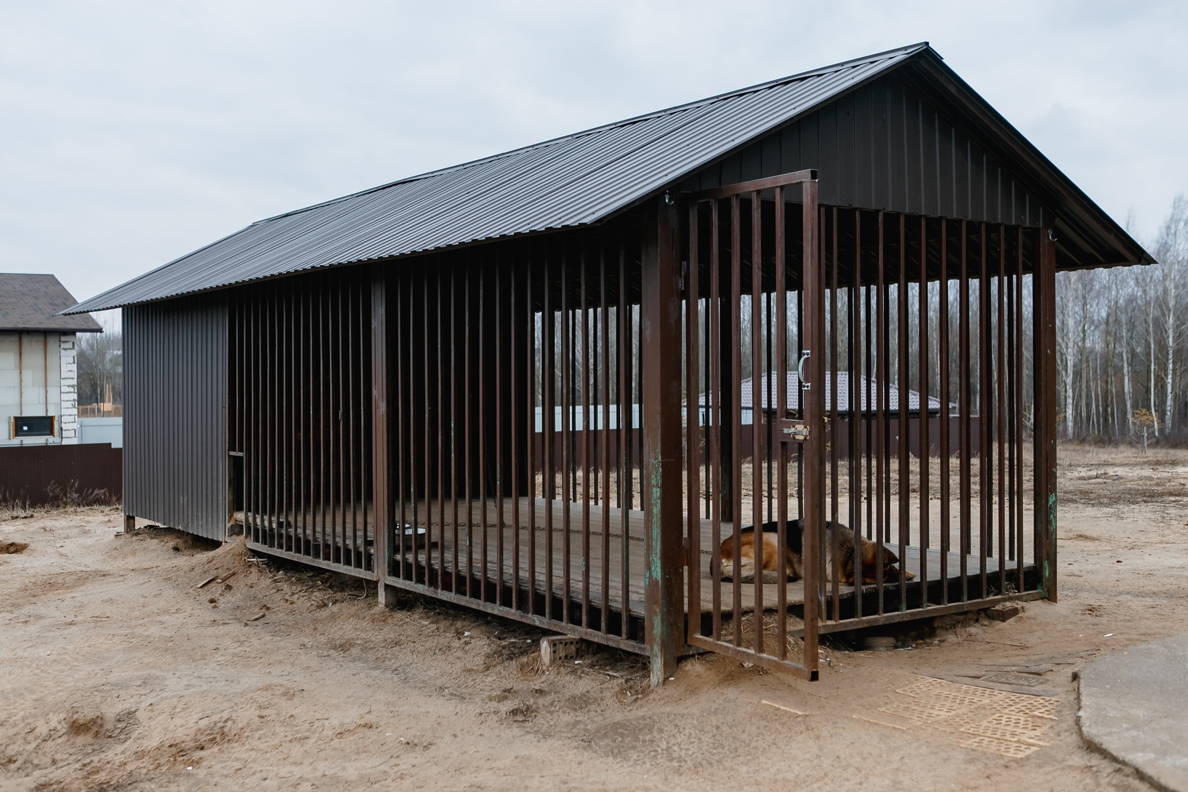Дом 2. Семейный и свадебный фотограф в Нижнем Новгороде
