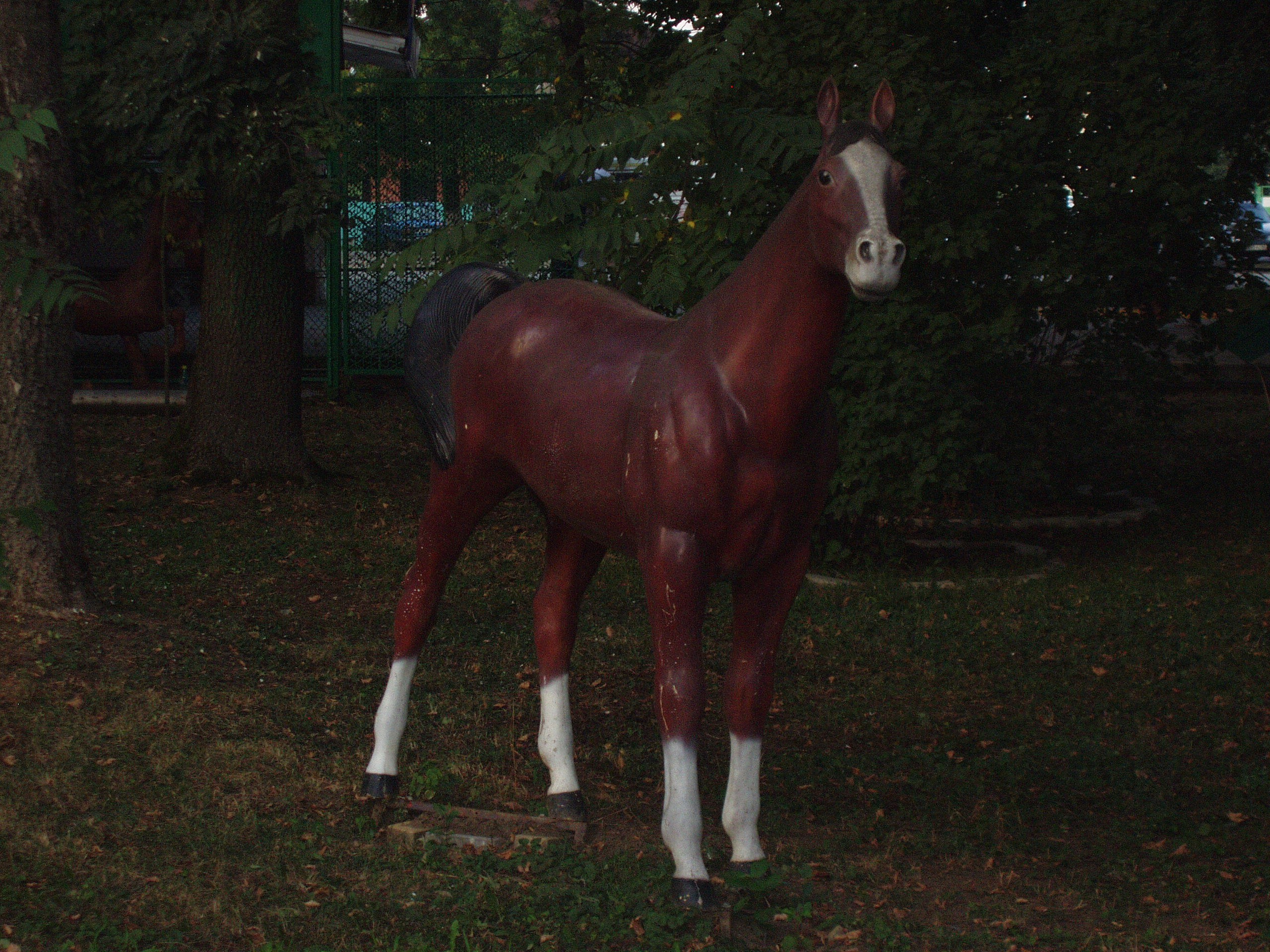 Отпуск 27.05-16.08. Семейный, Свадебный фотограф СПБ Питер— Романова Екатерина