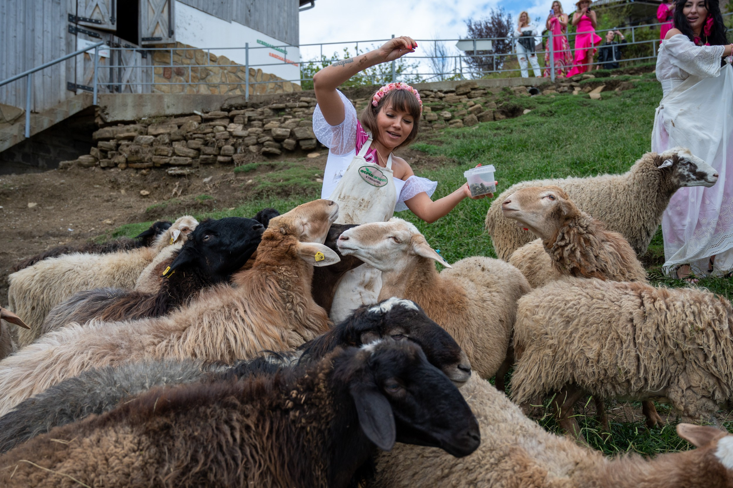 Ферма «ЭКЗАРХО» 03.10.2024 г. Фотографирую счастливых людей в Сочи