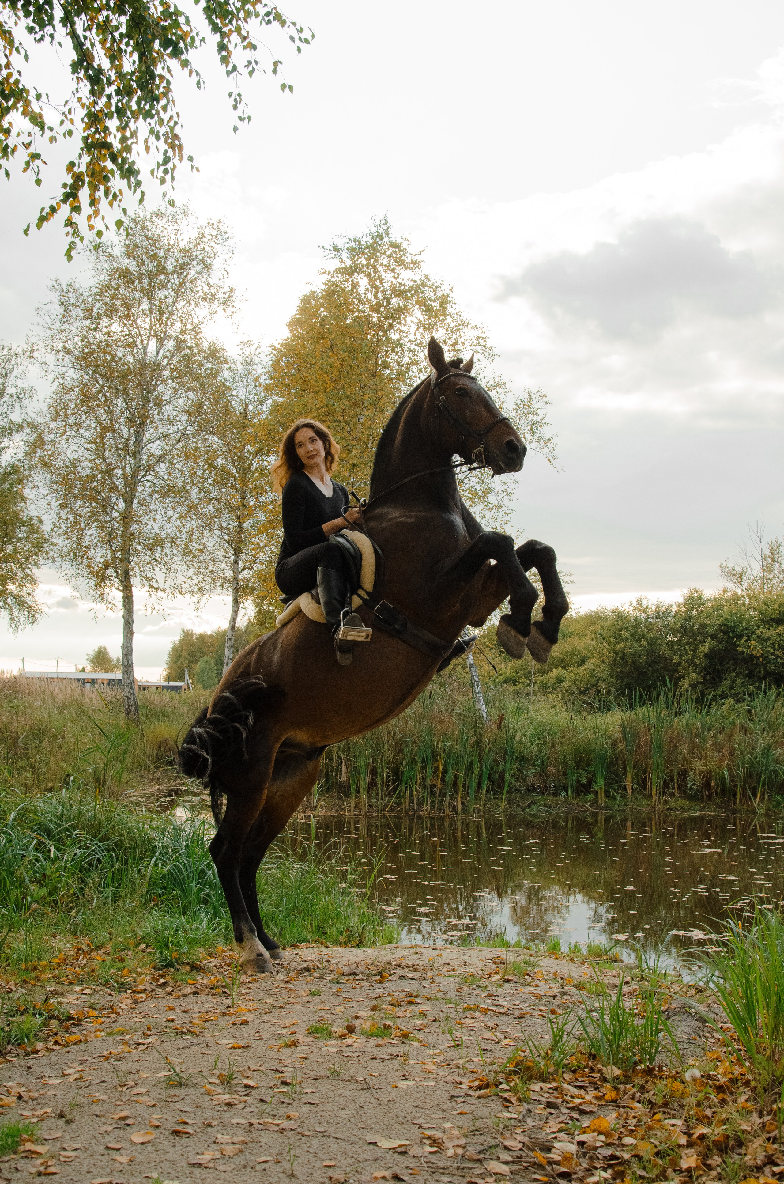 Дом-музей лошадей Хуторъ. Фотографы в Тюмени Андрей и Лидия Войвод