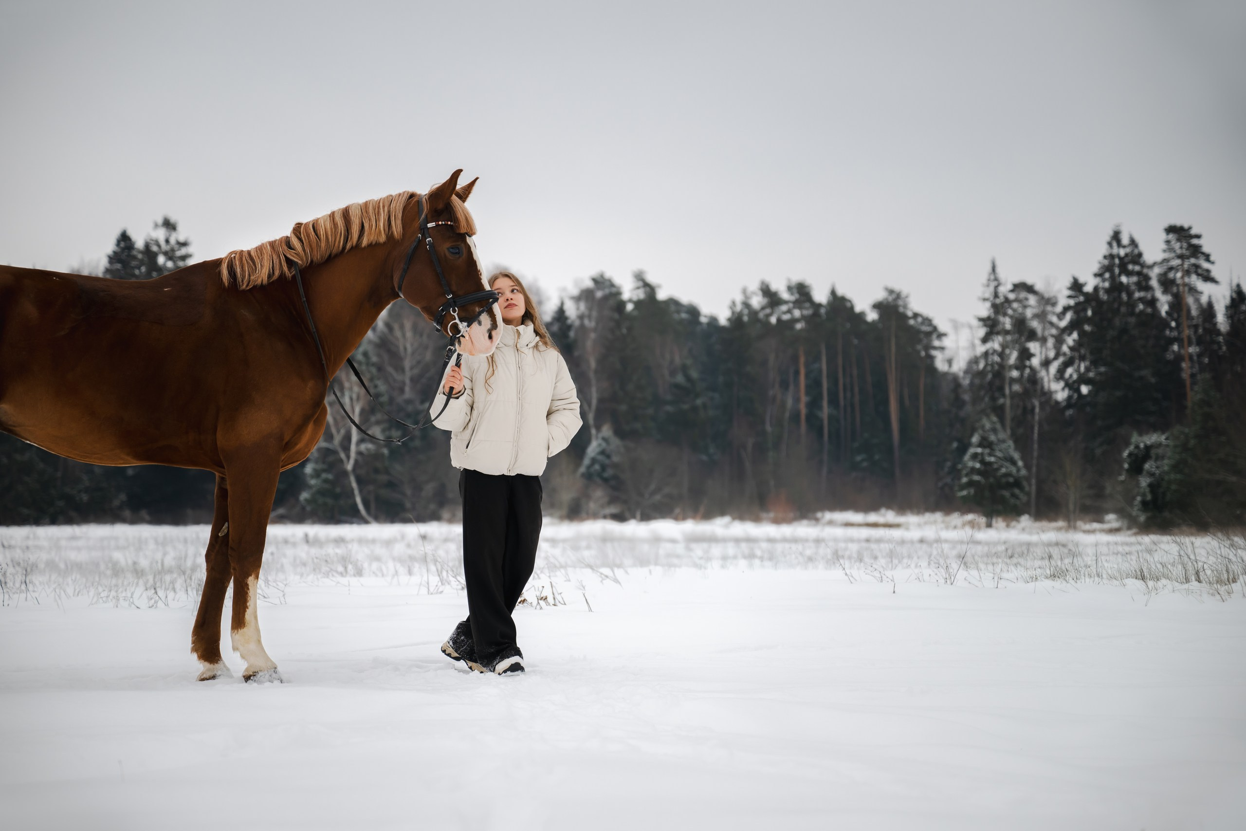 Виктория и Лео. Фотограф Анималист в Москве Анастасия Жучкова