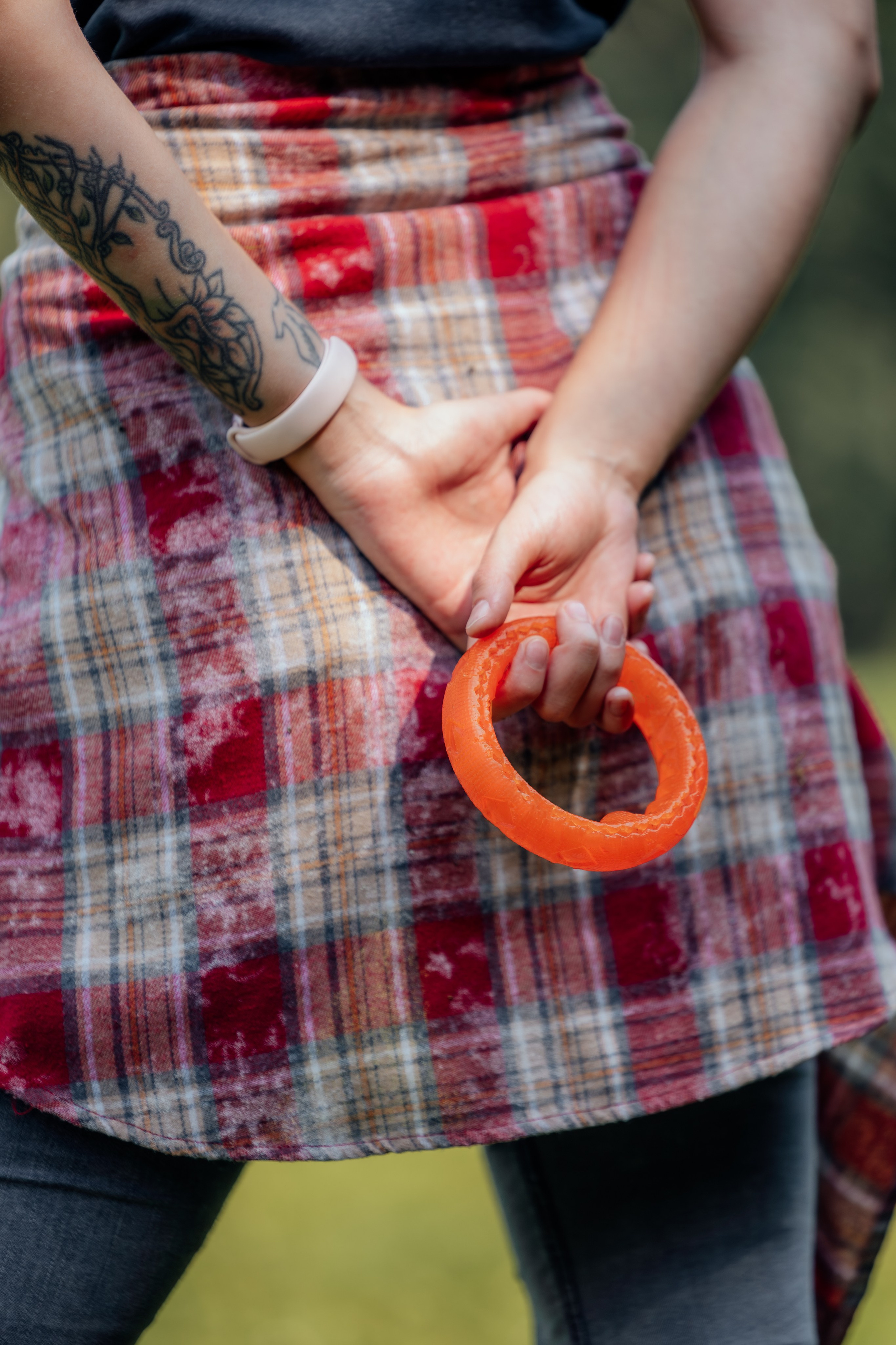 Доберман Айза. Фотограф Анималист в Москве Анастасия Жучкова