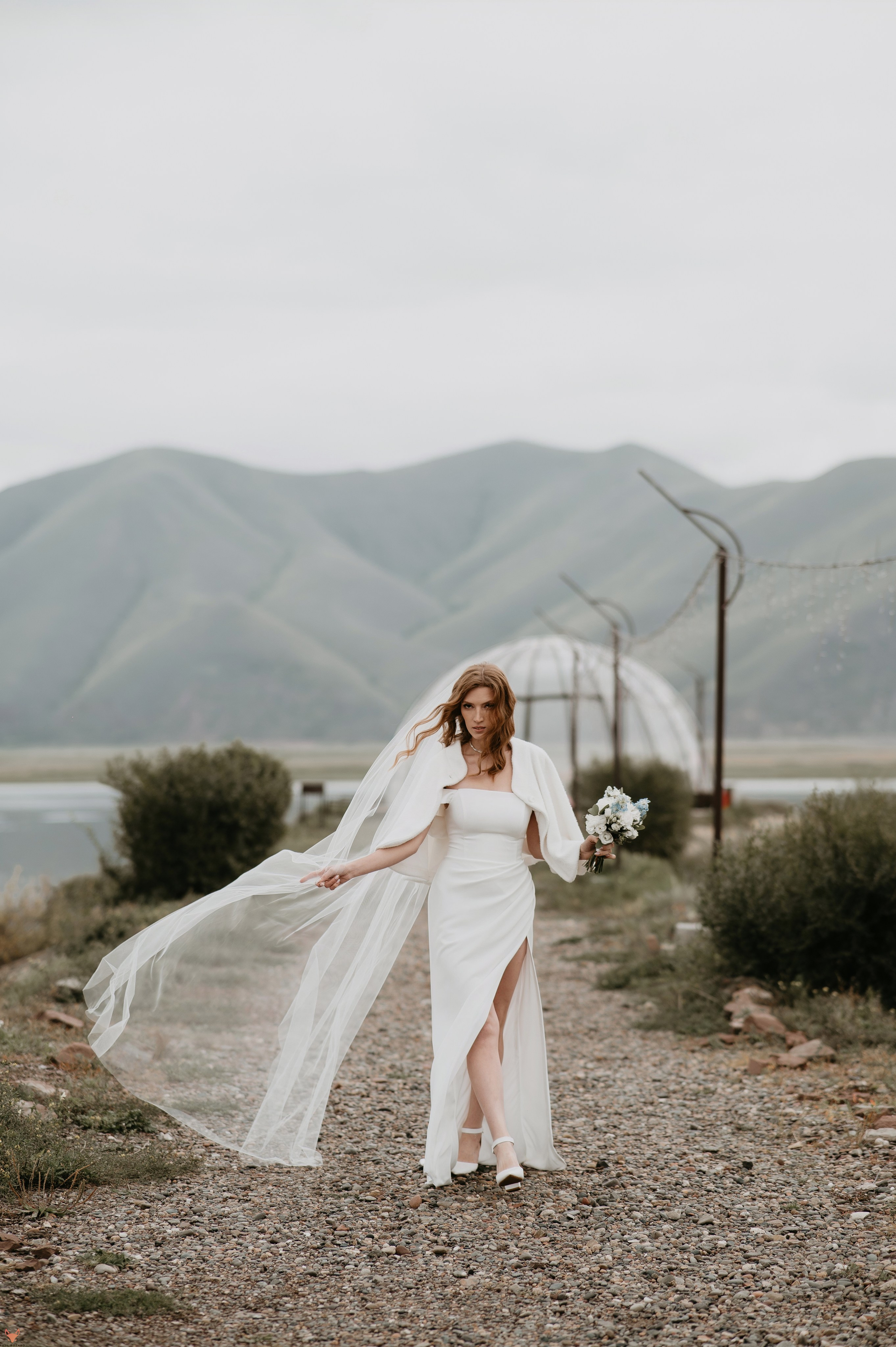 Wedding 14 09 24. Свадебный Фотограф Абакан